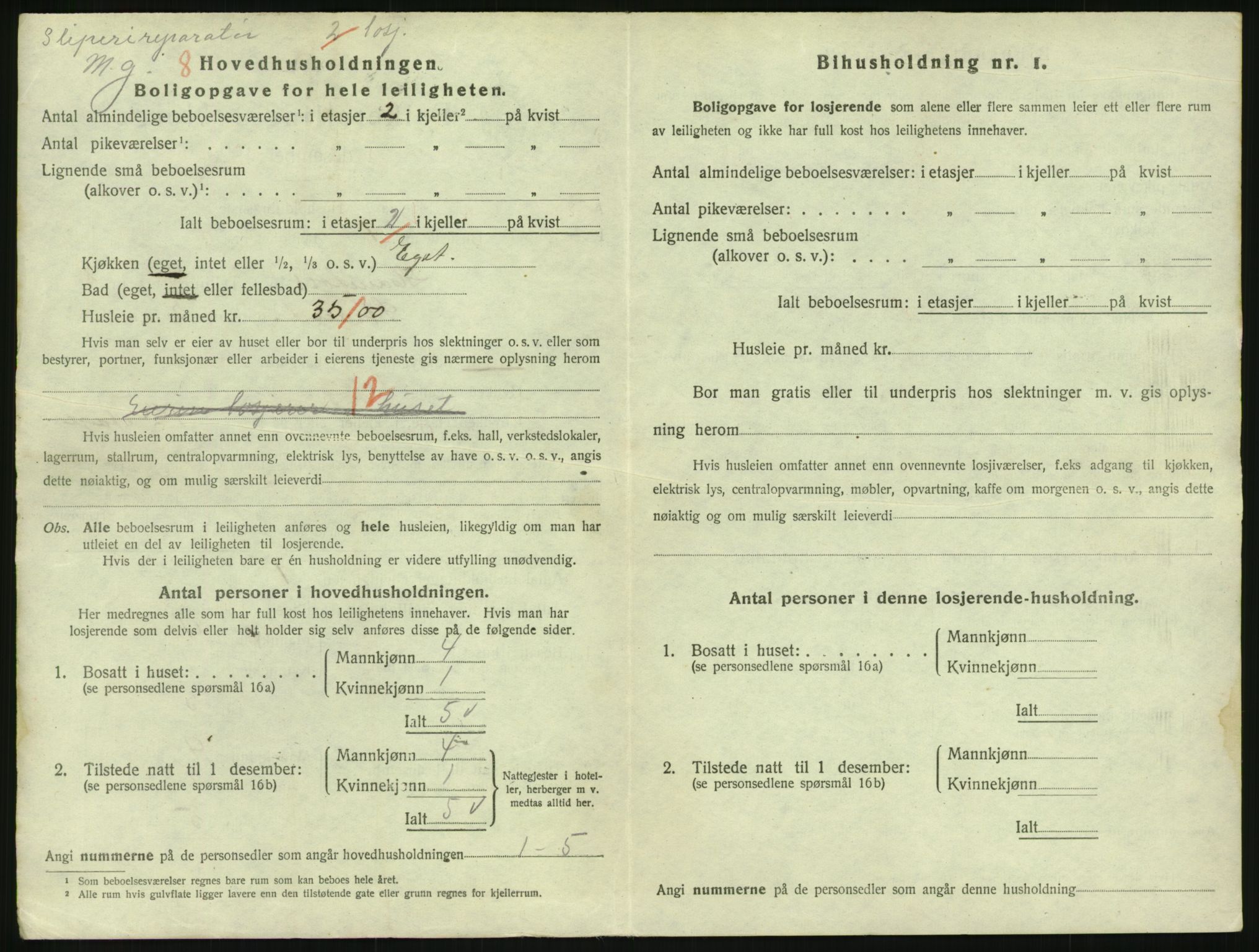 SAKO, 1920 census for Hønefoss, 1920, p. 1153