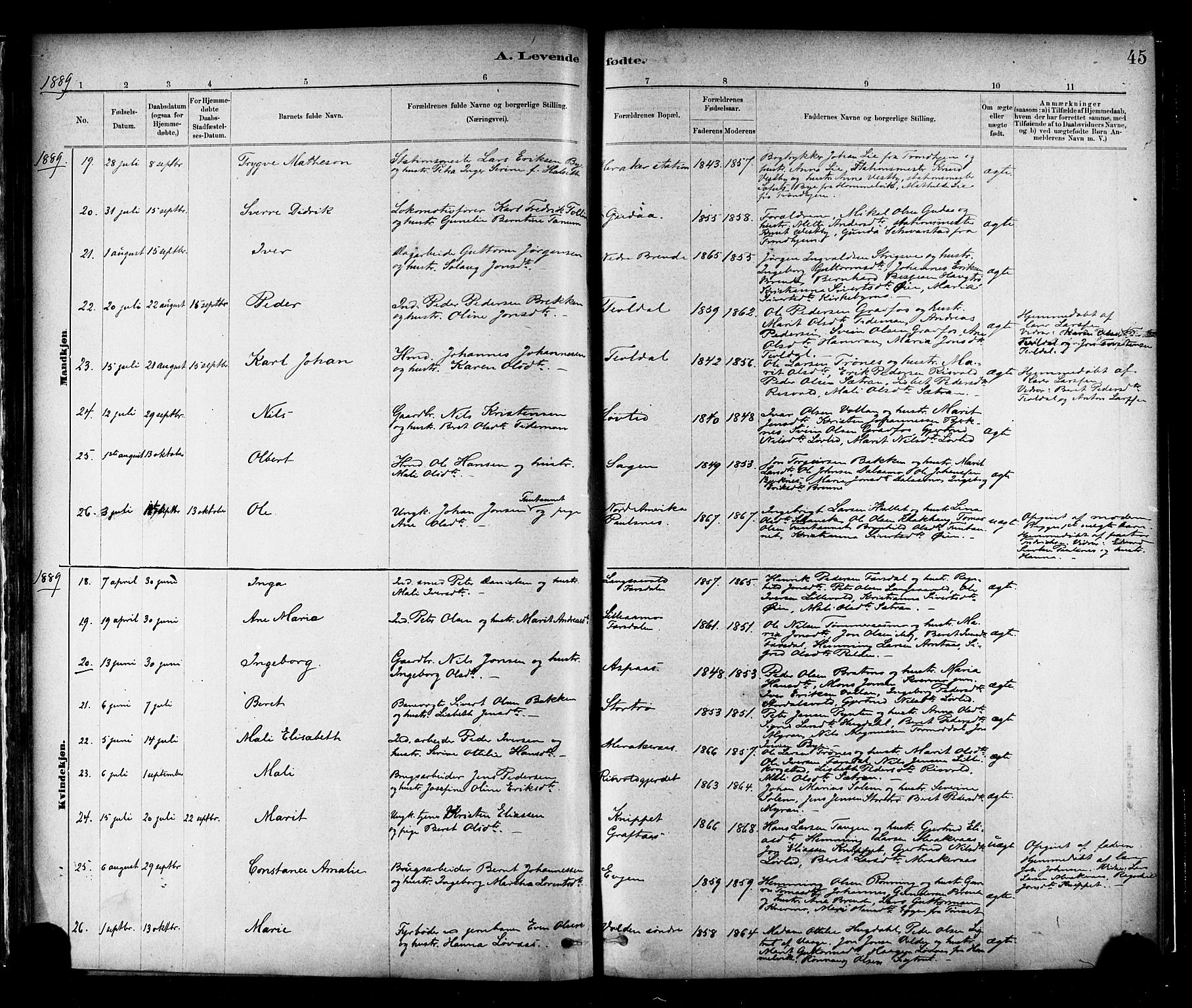 Ministerialprotokoller, klokkerbøker og fødselsregistre - Nord-Trøndelag, SAT/A-1458/706/L0047: Parish register (official) no. 706A03, 1878-1892, p. 45