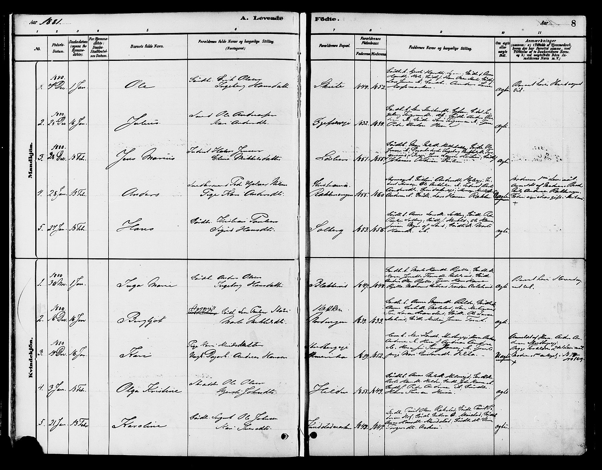 Gran prestekontor, AV/SAH-PREST-112/H/Ha/Haa/L0016: Parish register (official) no. 16, 1880-1888, p. 8