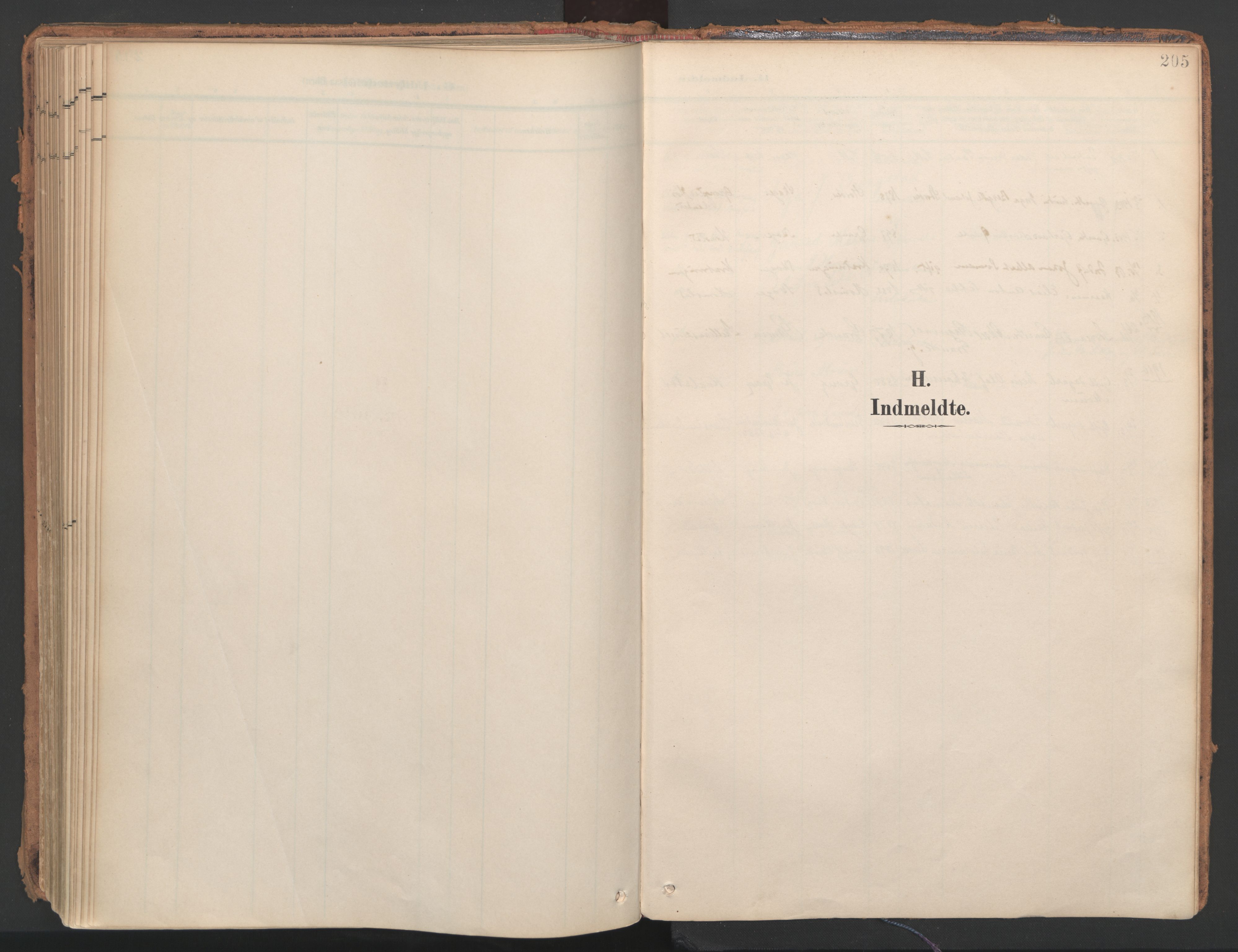 Ministerialprotokoller, klokkerbøker og fødselsregistre - Nord-Trøndelag, SAT/A-1458/766/L0564: Parish register (official) no. 767A02, 1900-1932, p. 205