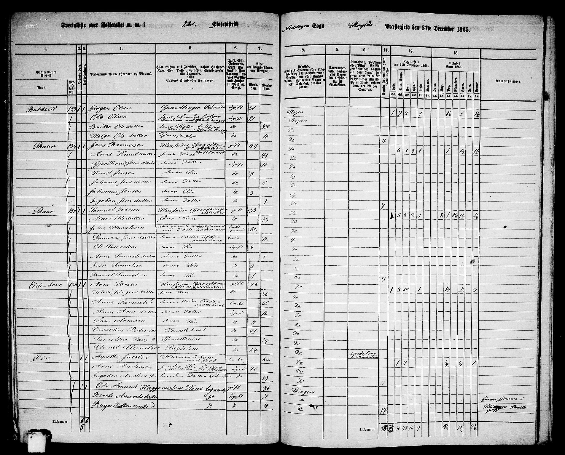 RA, 1865 census for Stryn, 1865, p. 88