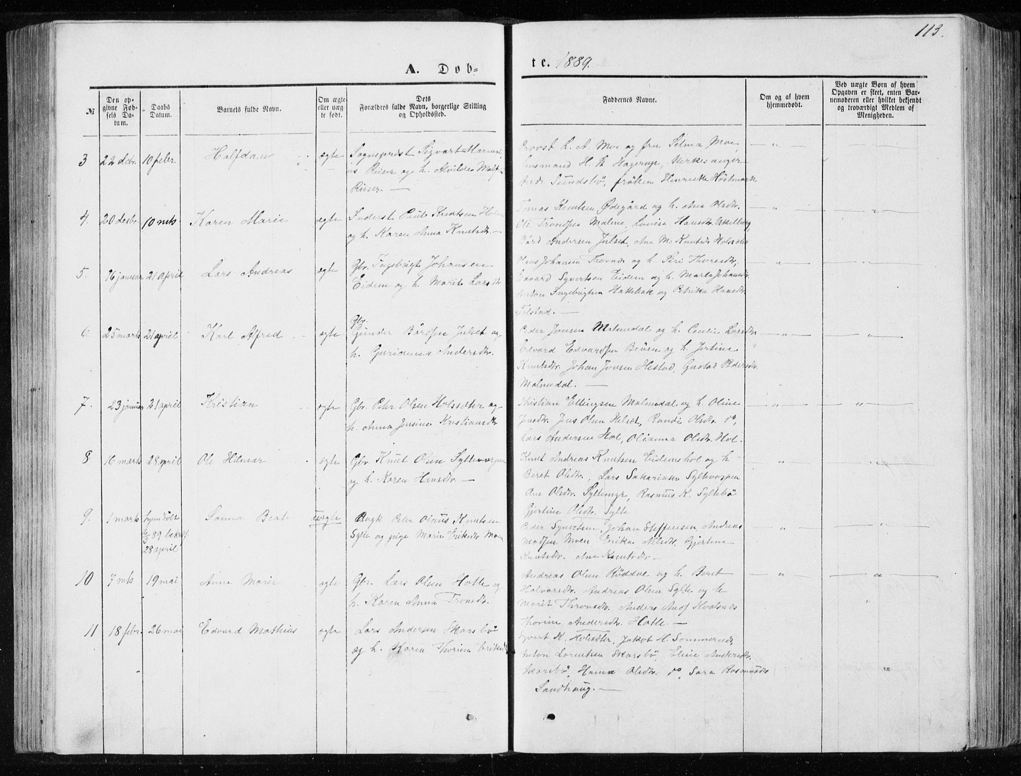 Ministerialprotokoller, klokkerbøker og fødselsregistre - Møre og Romsdal, AV/SAT-A-1454/565/L0754: Parish register (copy) no. 565C03, 1870-1896, p. 113