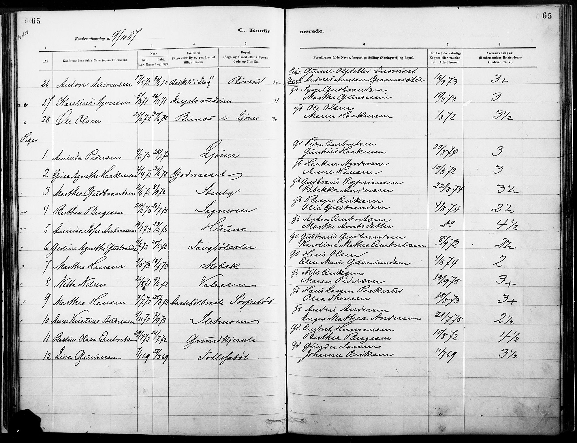 Eidskog prestekontor, SAH/PREST-026/H/Ha/Haa/L0004: Parish register (official) no. 4, 1884-1897, p. 65