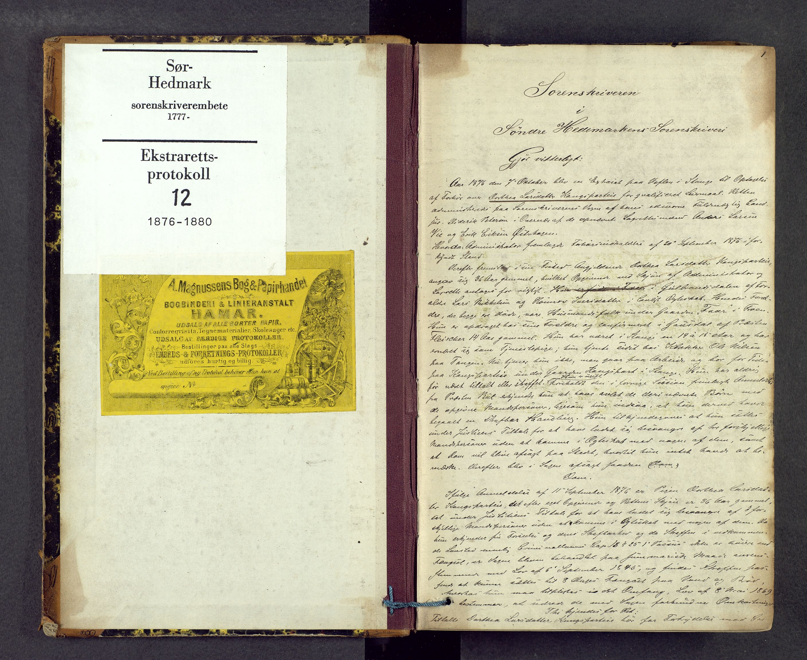 Sør-Hedmark sorenskriveri, AV/SAH-TING-014/G/Gc/Gca/L0012: Ekstrarettsprotokoll, 1876-1880, p. 0b-1a