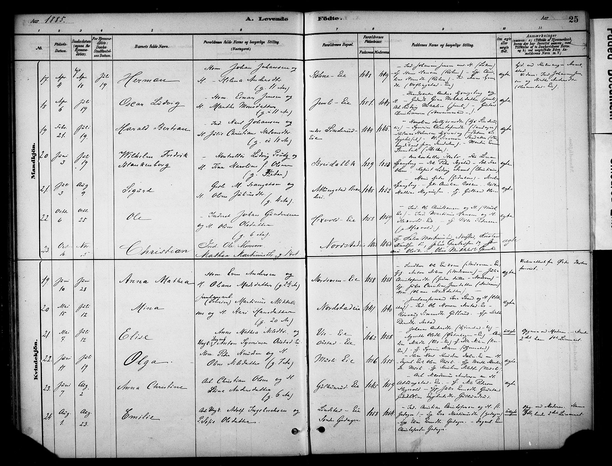 Stange prestekontor, AV/SAH-PREST-002/K/L0019: Parish register (official) no. 19, 1880-1891, p. 25