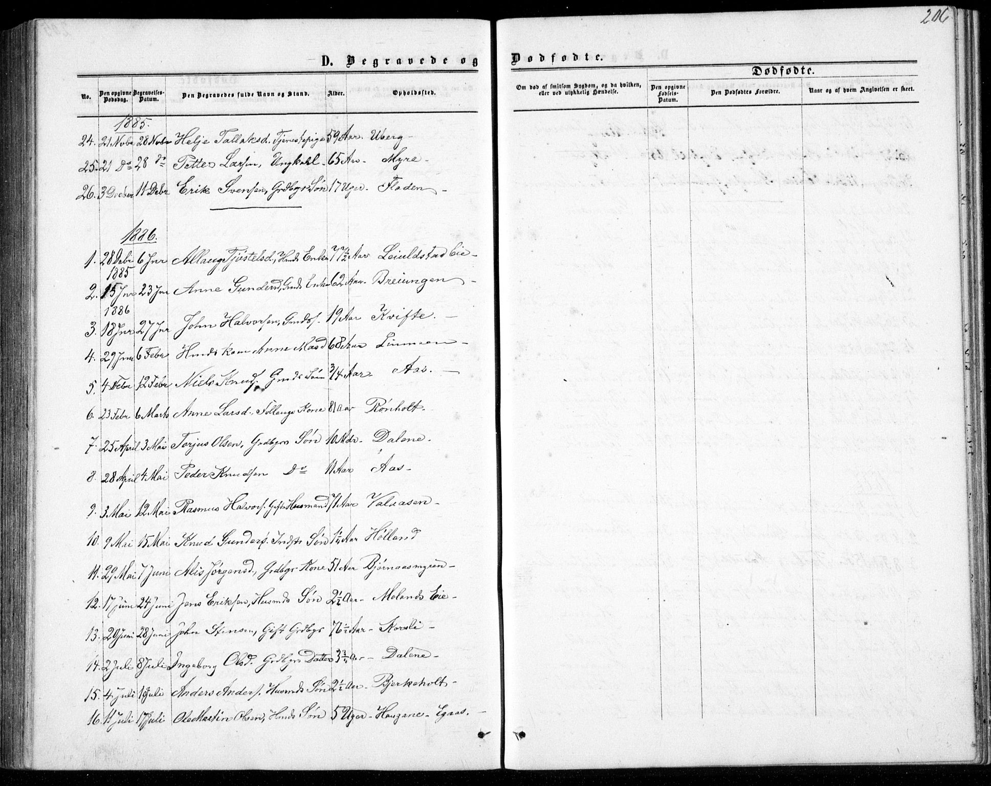 Gjerstad sokneprestkontor, AV/SAK-1111-0014/F/Fb/Fbb/L0003: Parish register (copy) no. B 3, 1862-1889, p. 206