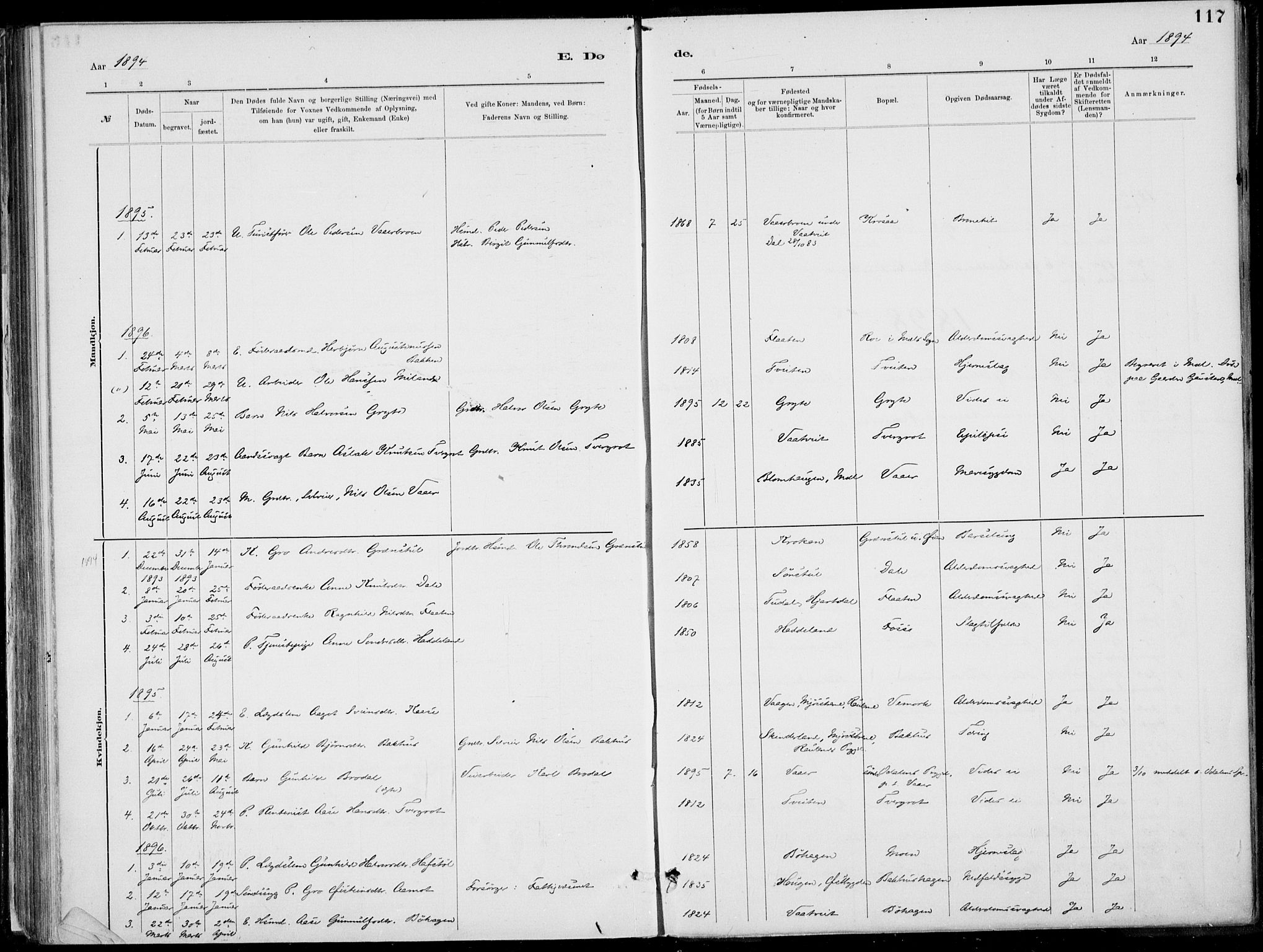 Rjukan kirkebøker, SAKO/A-294/F/Fa/L0001: Parish register (official) no. 1, 1878-1912, p. 117
