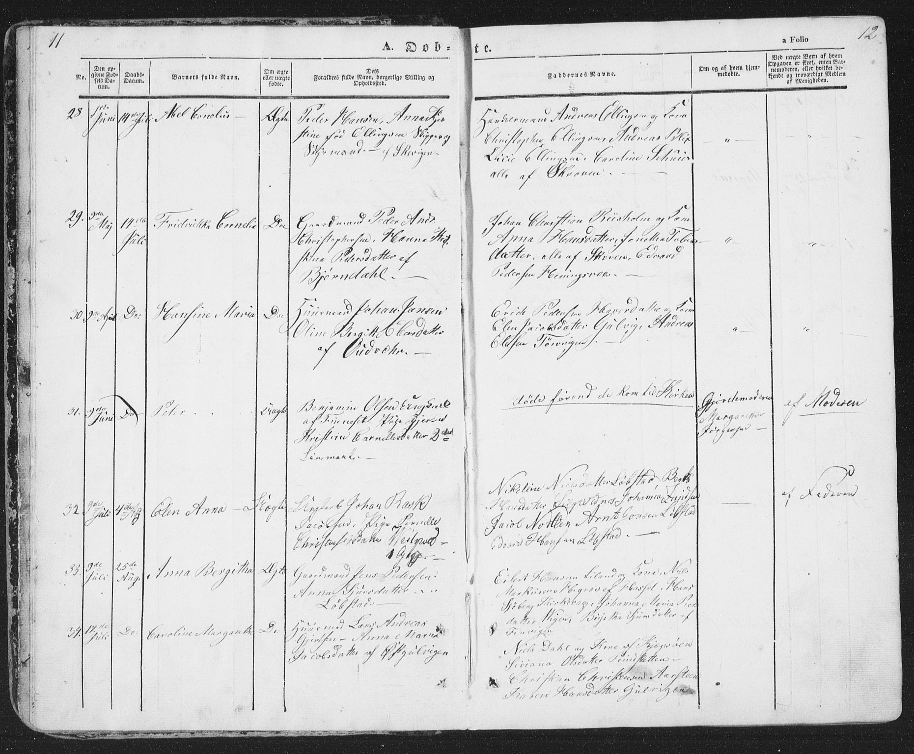 Ministerialprotokoller, klokkerbøker og fødselsregistre - Nordland, AV/SAT-A-1459/874/L1072: Parish register (copy) no. 874C01, 1843-1859, p. 11-12