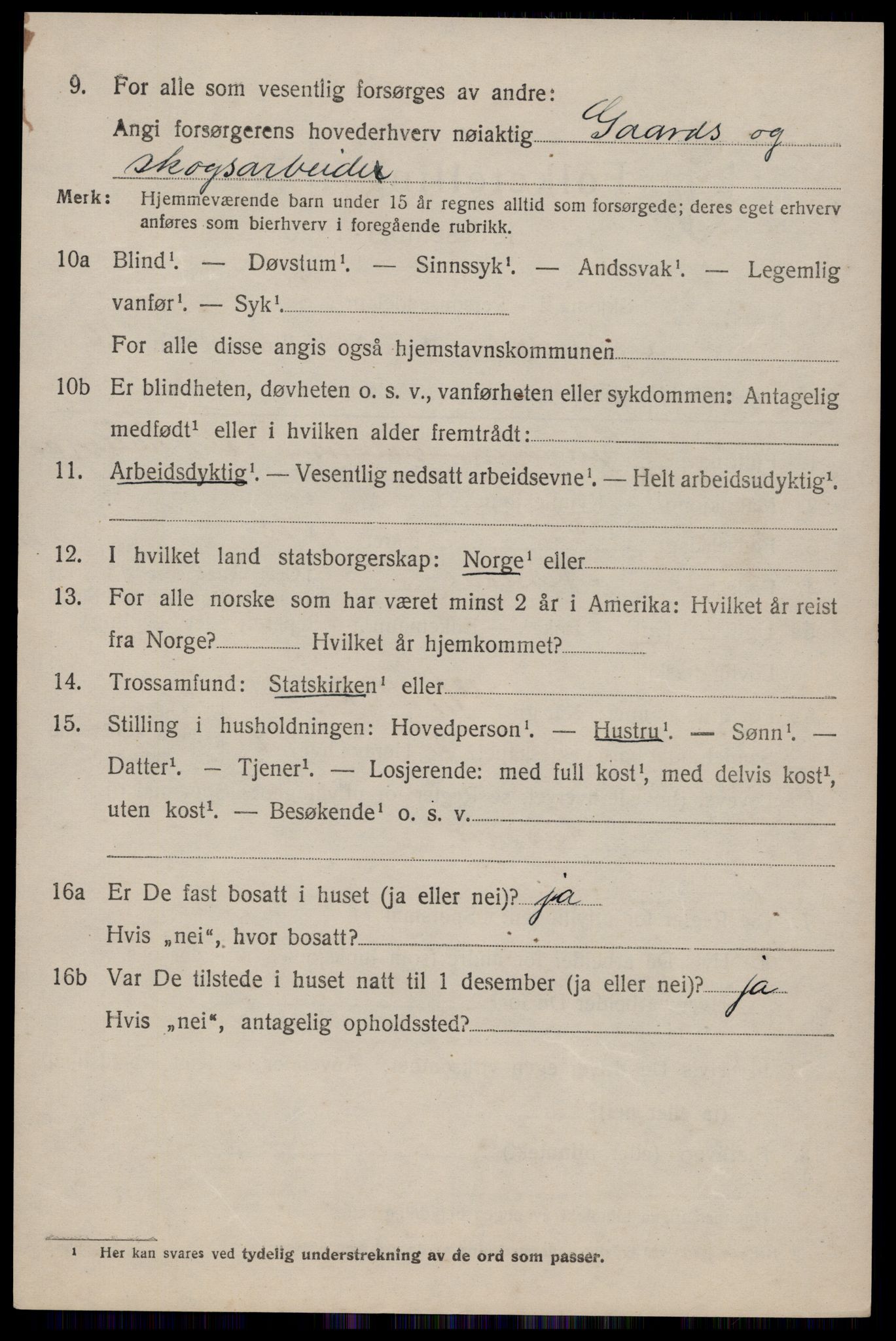 SAKO, 1920 census for Nissedal, 1920, p. 3920