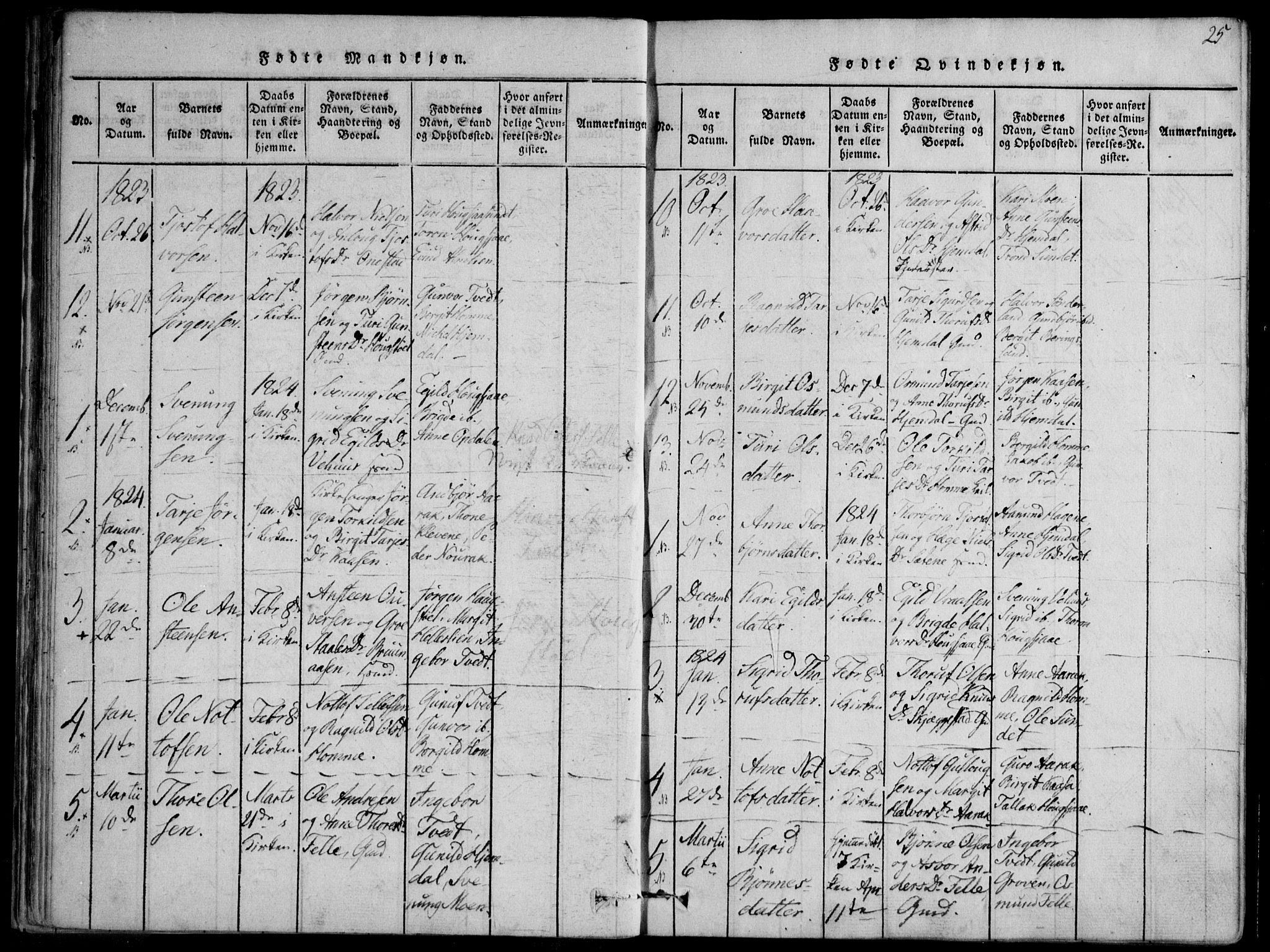 Nissedal kirkebøker, SAKO/A-288/F/Fb/L0001: Parish register (official) no. II 1, 1814-1845, p. 25