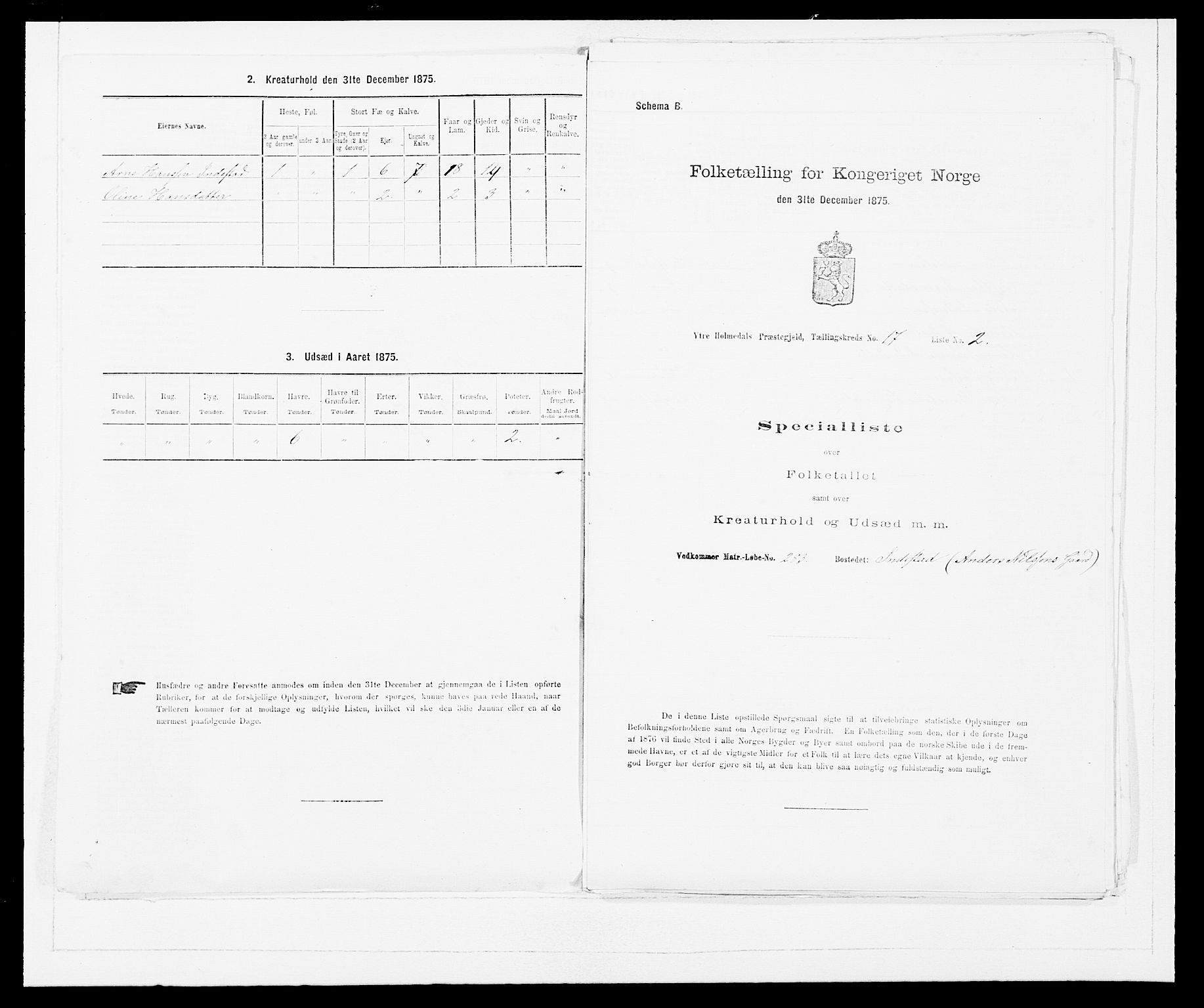 SAB, 1875 census for 1429P Ytre Holmedal, 1875, p. 1117
