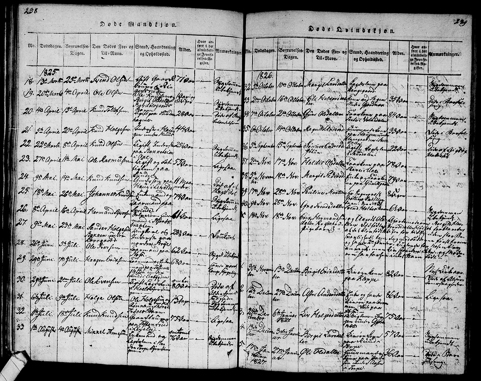 Ål kirkebøker, AV/SAKO-A-249/G/Ga/L0001: Parish register (copy) no. 1, 1815-1829, p. 238-239