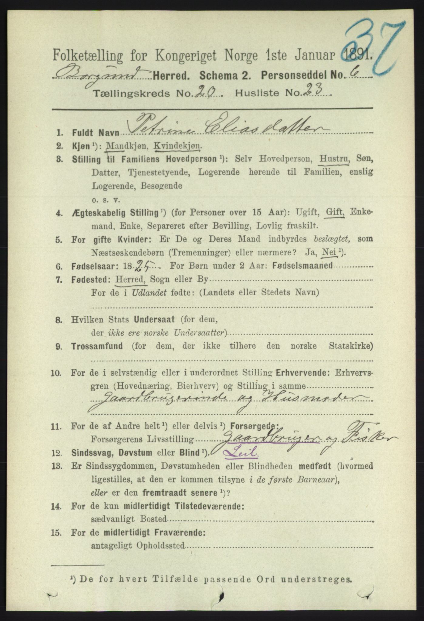 RA, 1891 census for 1531 Borgund, 1891, p. 6291