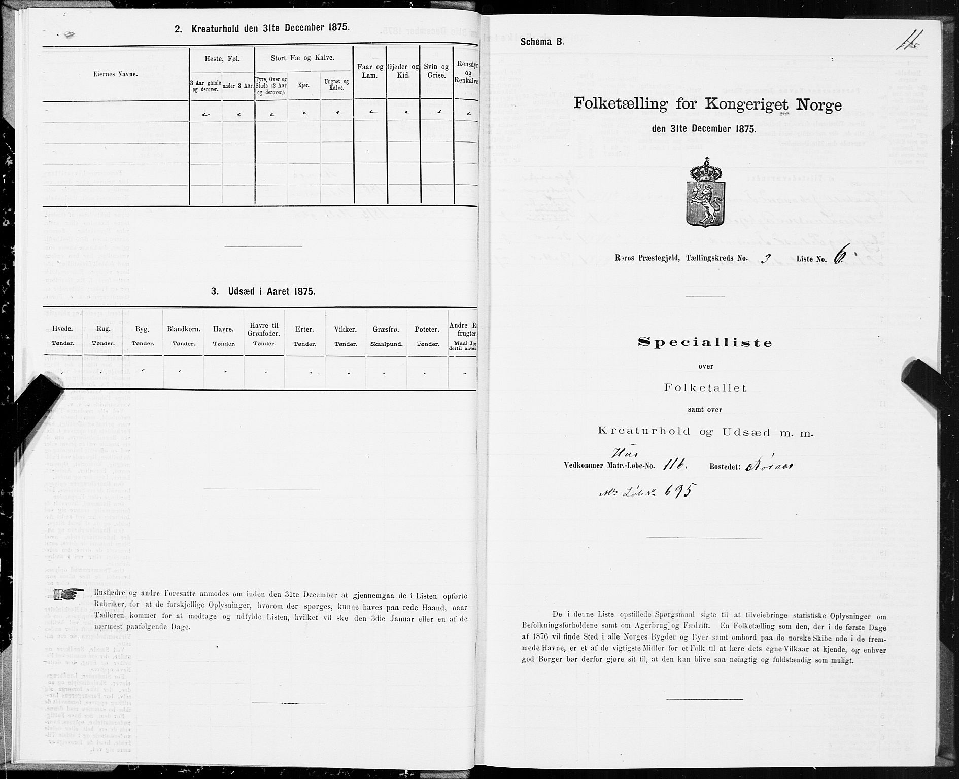 SAT, 1875 census for 1640P Røros, 1875, p. 2011