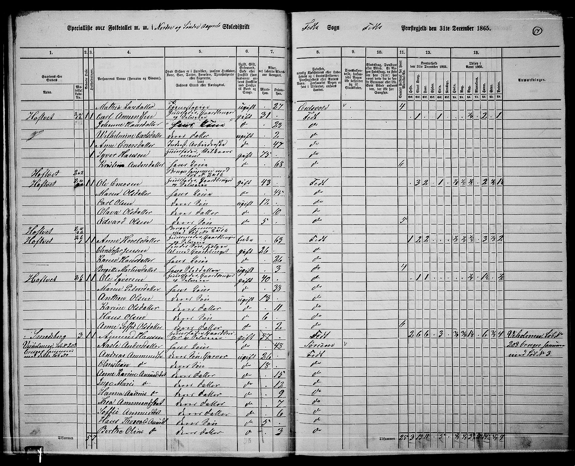 RA, 1865 census for Fet, 1865, p. 14