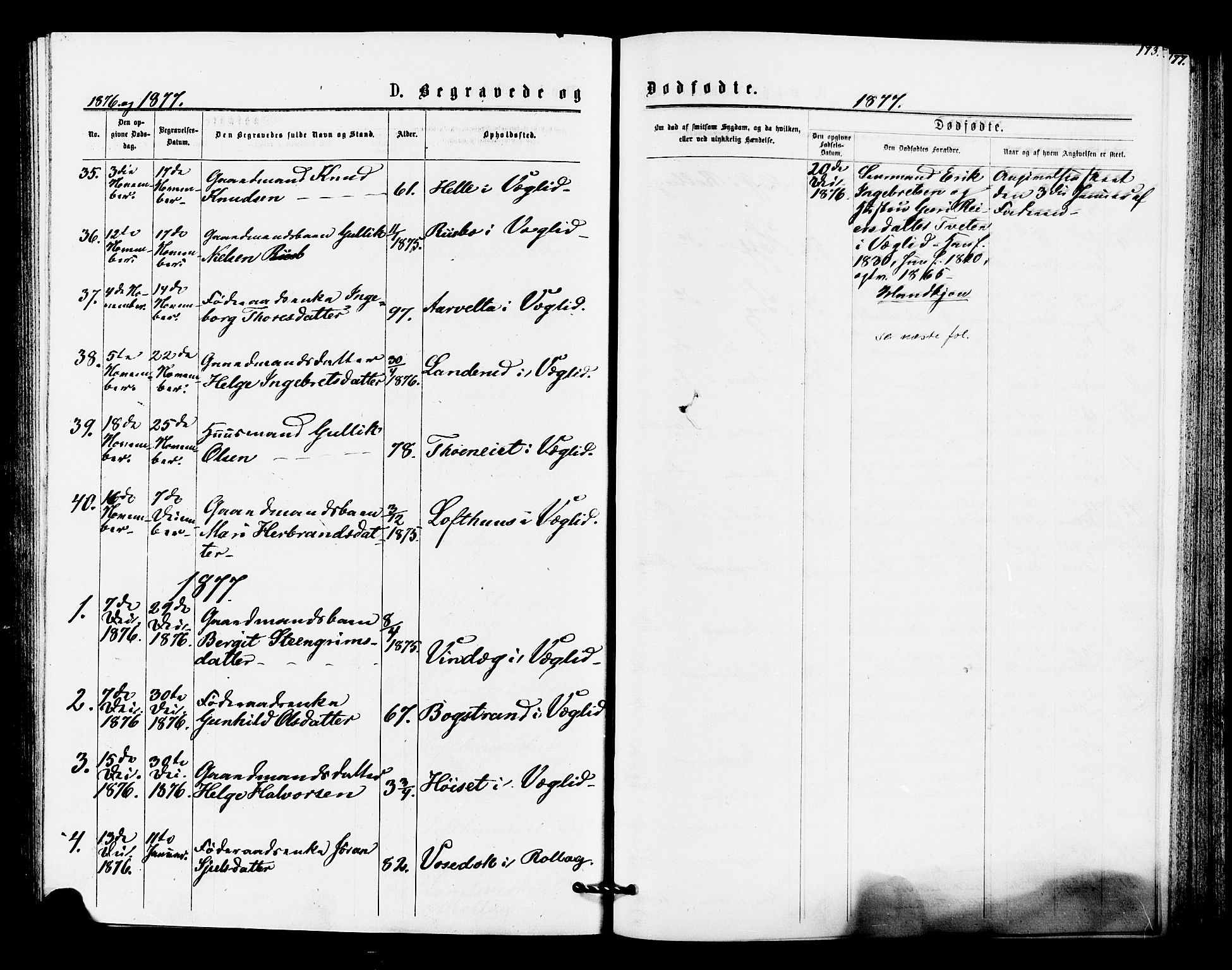 Rollag kirkebøker, SAKO/A-240/F/Fa/L0010: Parish register (official) no. I 10, 1874-1877, p. 173