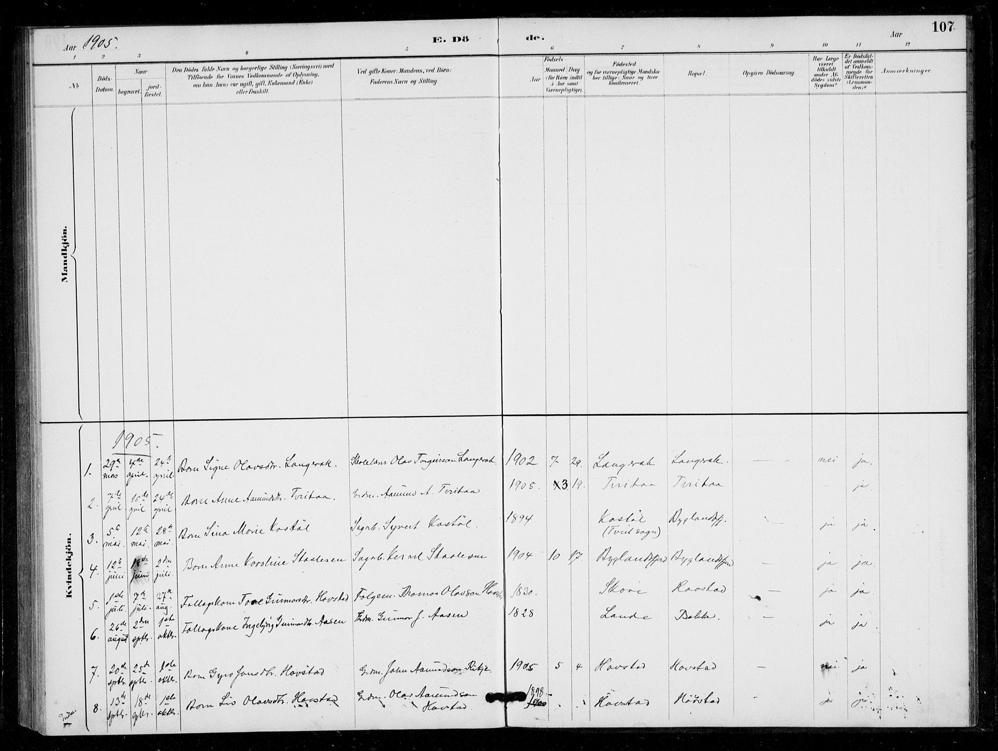 Bygland sokneprestkontor, SAK/1111-0006/F/Fa/Fad/L0001: Parish register (official) no. A 1, 1885-1906, p. 107