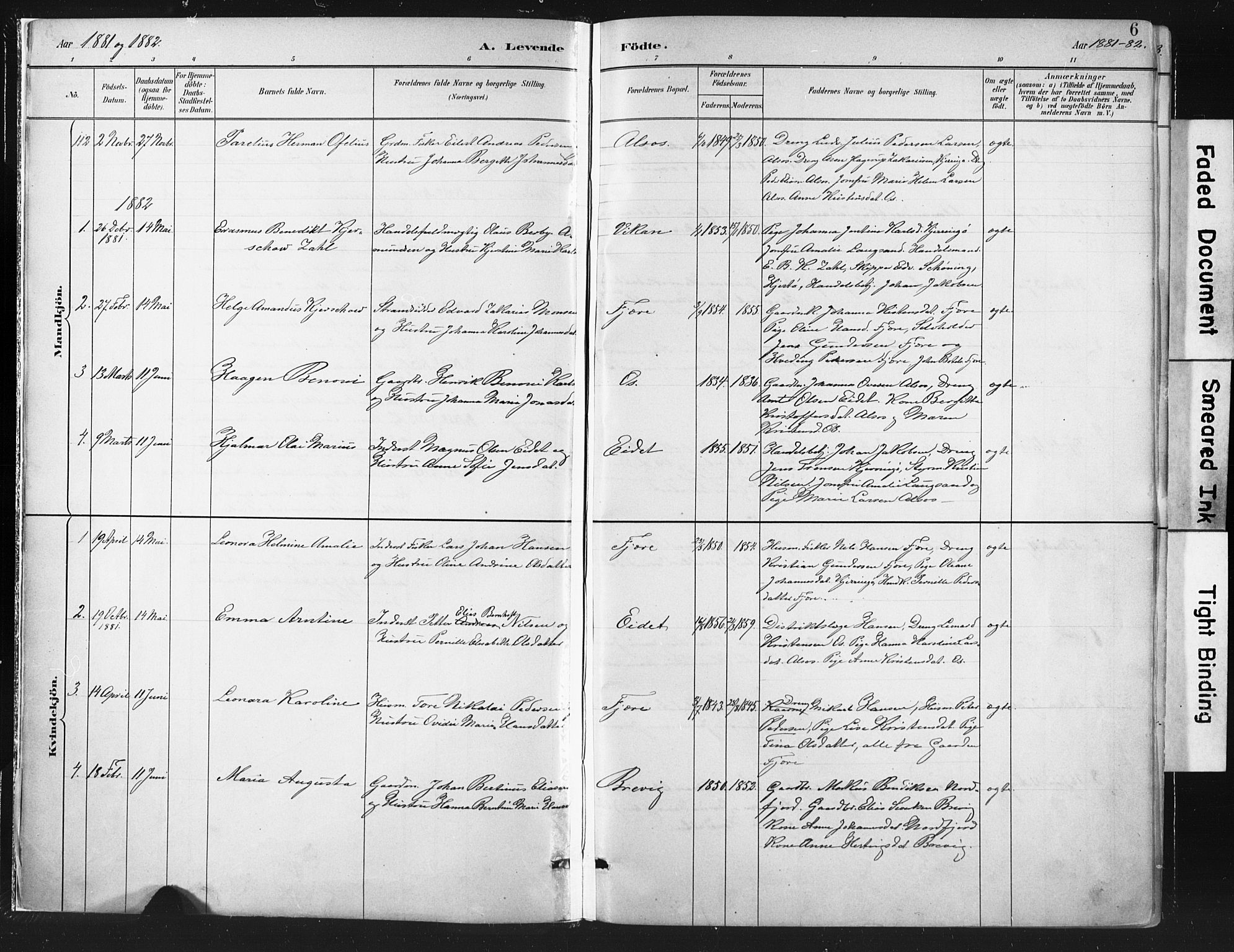 Ministerialprotokoller, klokkerbøker og fødselsregistre - Nordland, AV/SAT-A-1459/803/L0071: Parish register (official) no. 803A01, 1881-1897, p. 6