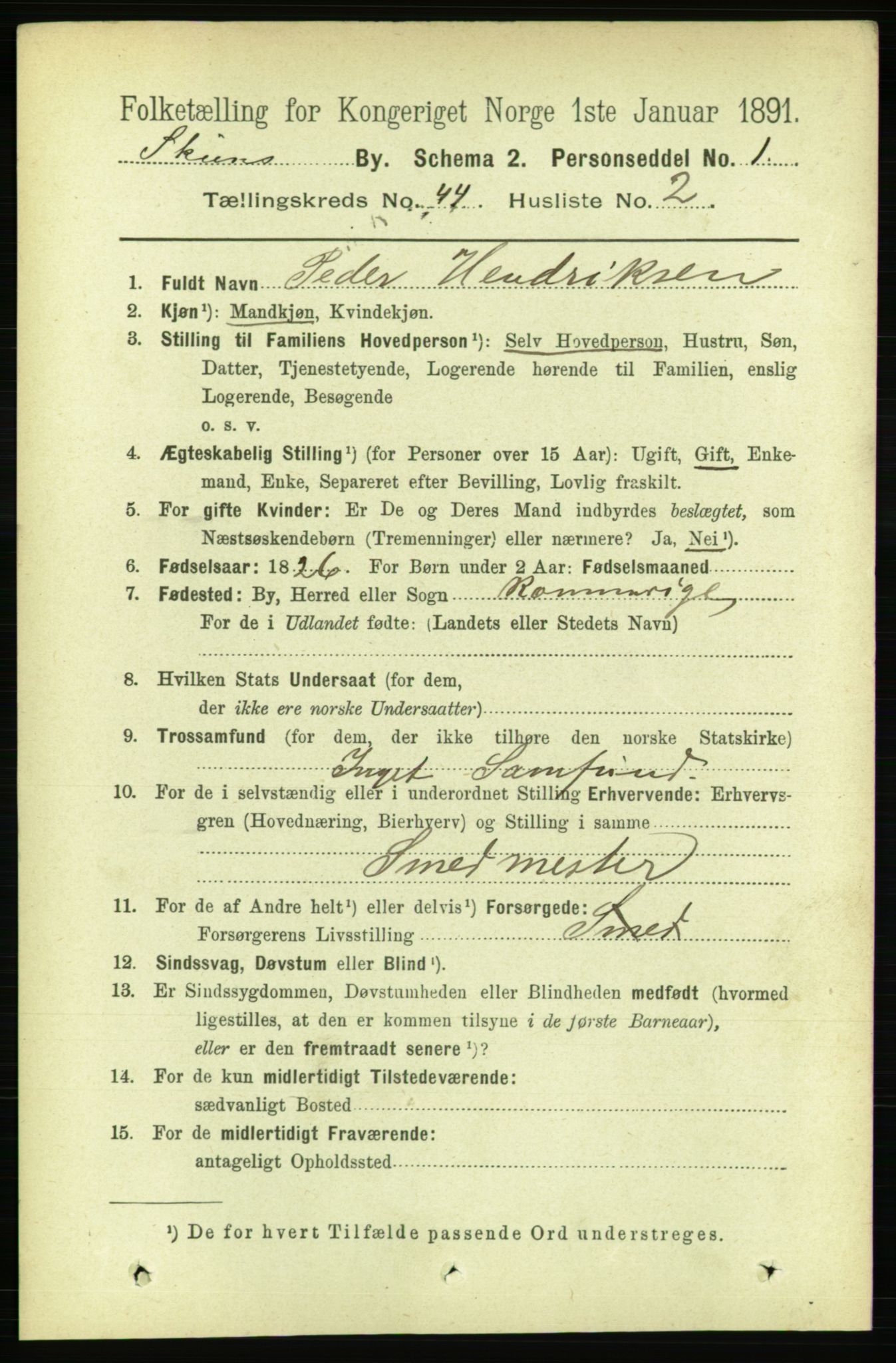 RA, 1891 census for 0806 Skien, 1891, p. 8778