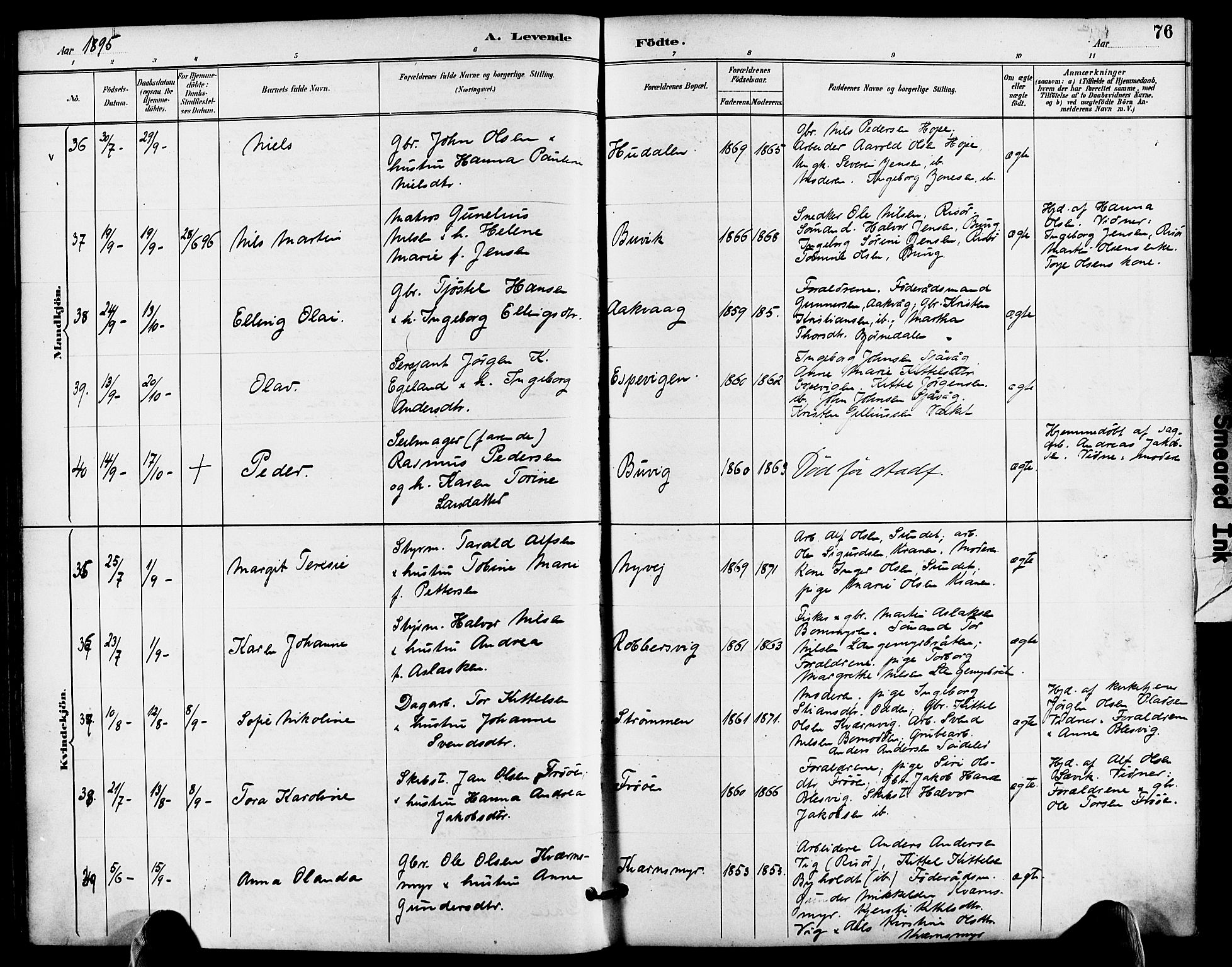 Søndeled sokneprestkontor, AV/SAK-1111-0038/F/Fa/L0005: Parish register (official) no. A 5, 1889-1899, p. 76