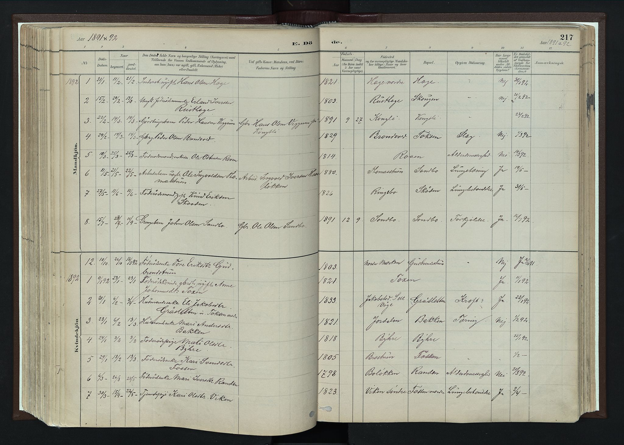 Nord-Fron prestekontor, SAH/PREST-080/H/Ha/Haa/L0004: Parish register (official) no. 4, 1884-1914, p. 217