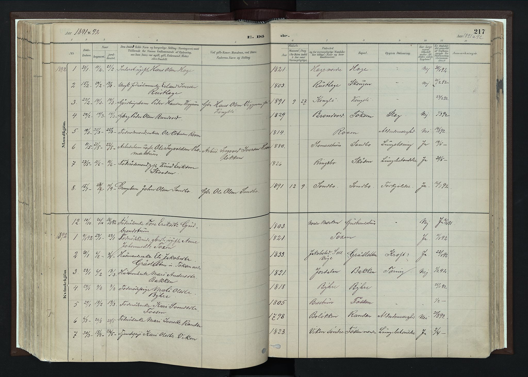 Nord-Fron prestekontor, AV/SAH-PREST-080/H/Ha/Haa/L0004: Parish register (official) no. 4, 1884-1914, p. 217