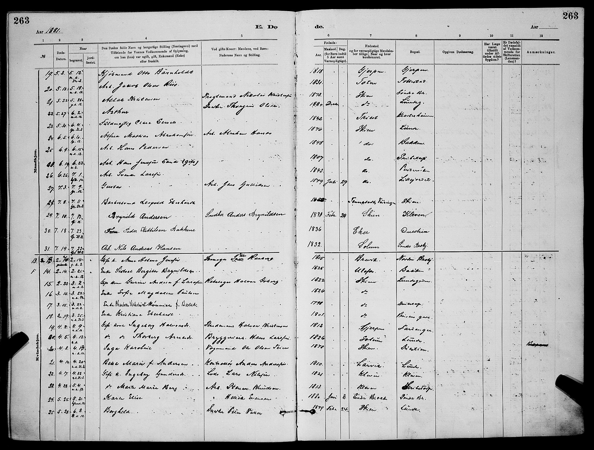 Skien kirkebøker, AV/SAKO-A-302/G/Ga/L0006: Parish register (copy) no. 6, 1881-1890, p. 263