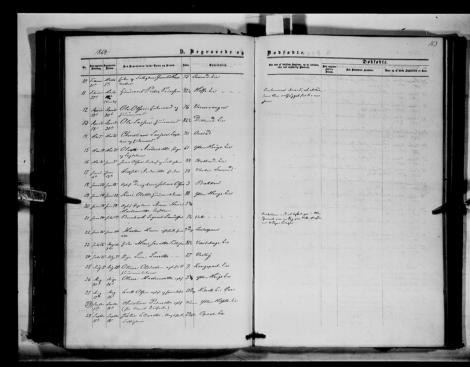 Stange prestekontor, AV/SAH-PREST-002/K/L0014: Parish register (official) no. 14, 1862-1879, p. 163