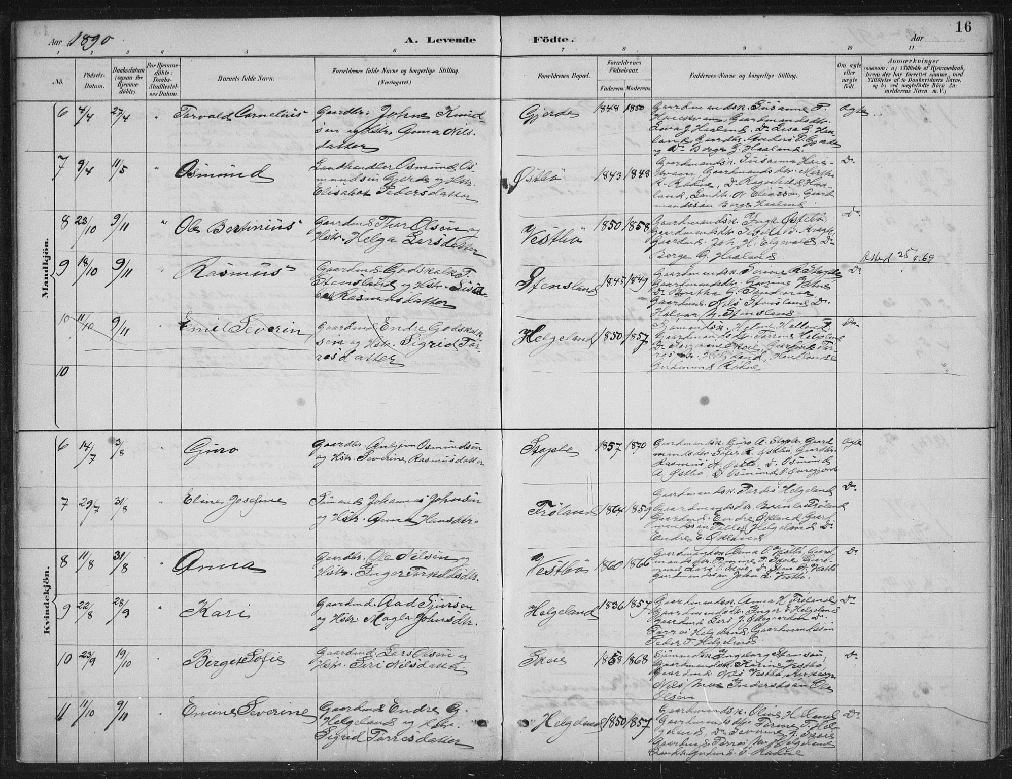 Vikedal sokneprestkontor, AV/SAST-A-101840/01/IV: Parish register (official) no. A 11, 1884-1933, p. 16