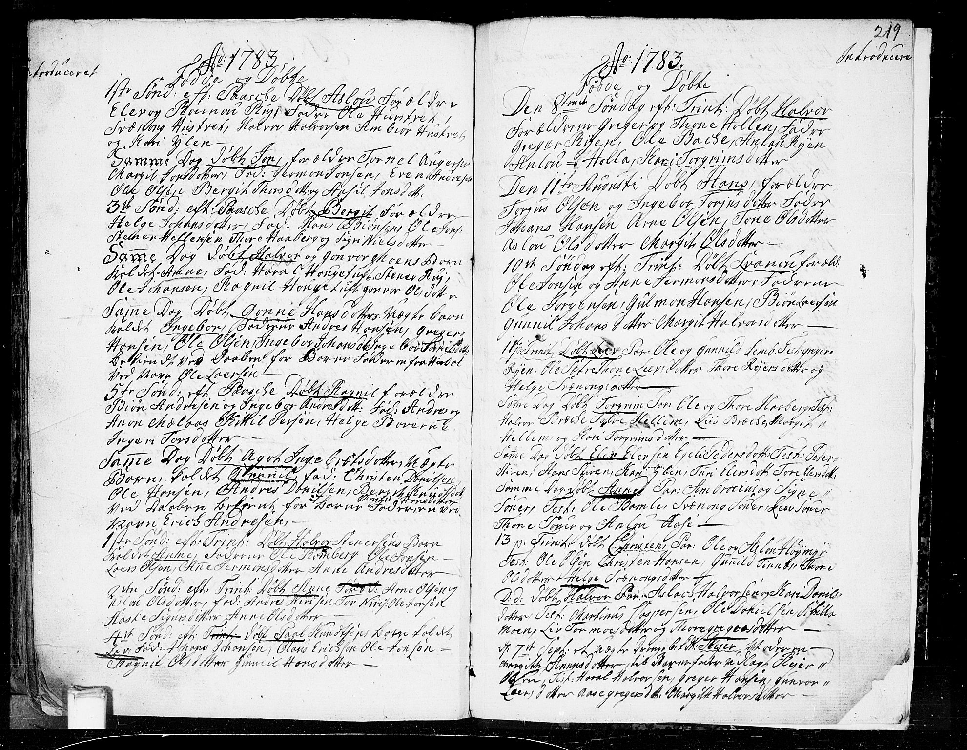 Heddal kirkebøker, SAKO/A-268/F/Fa/L0003: Parish register (official) no. I 3, 1723-1783, p. 219