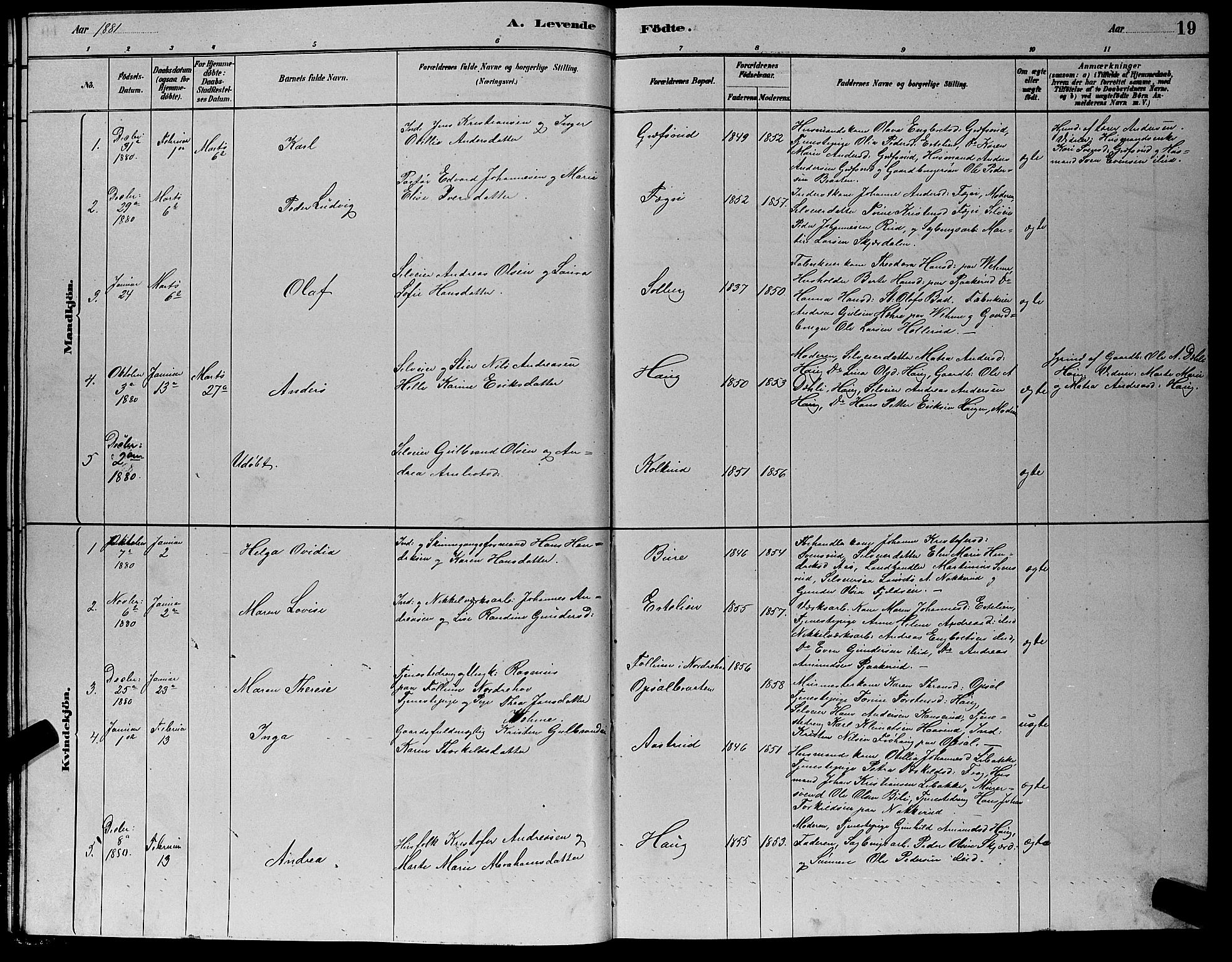 Hole kirkebøker, SAKO/A-228/G/Gb/L0002: Parish register (copy) no. II 2, 1878-1889, p. 19