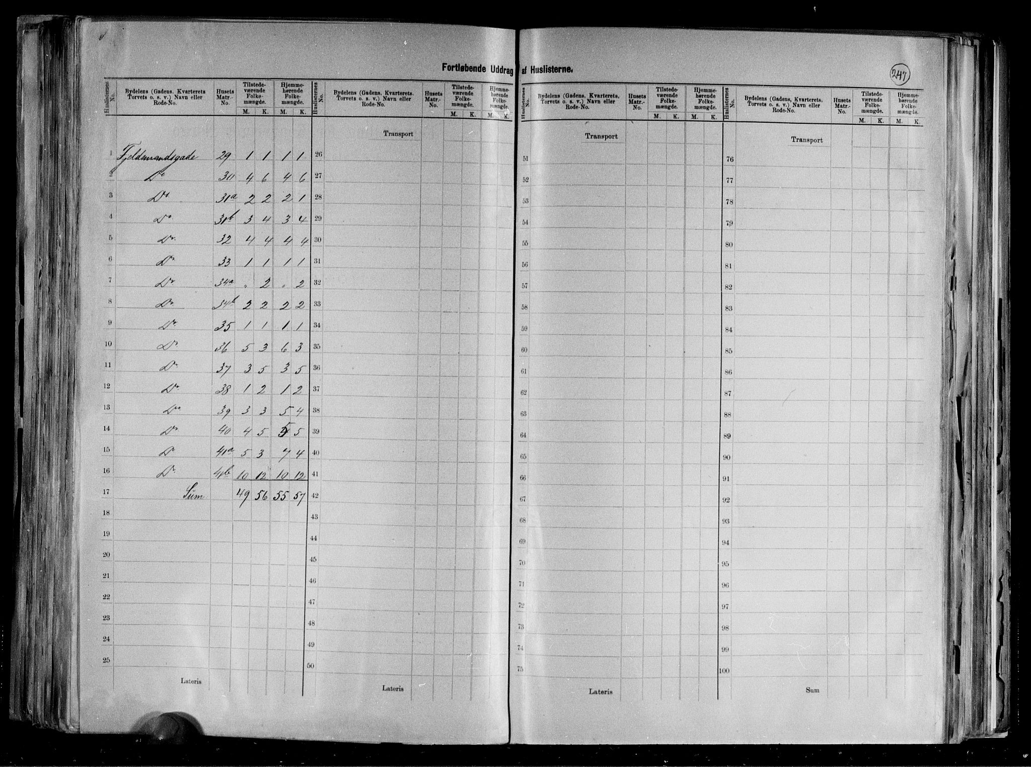 RA, 1891 census for 1002 Mandal, 1891, p. 45