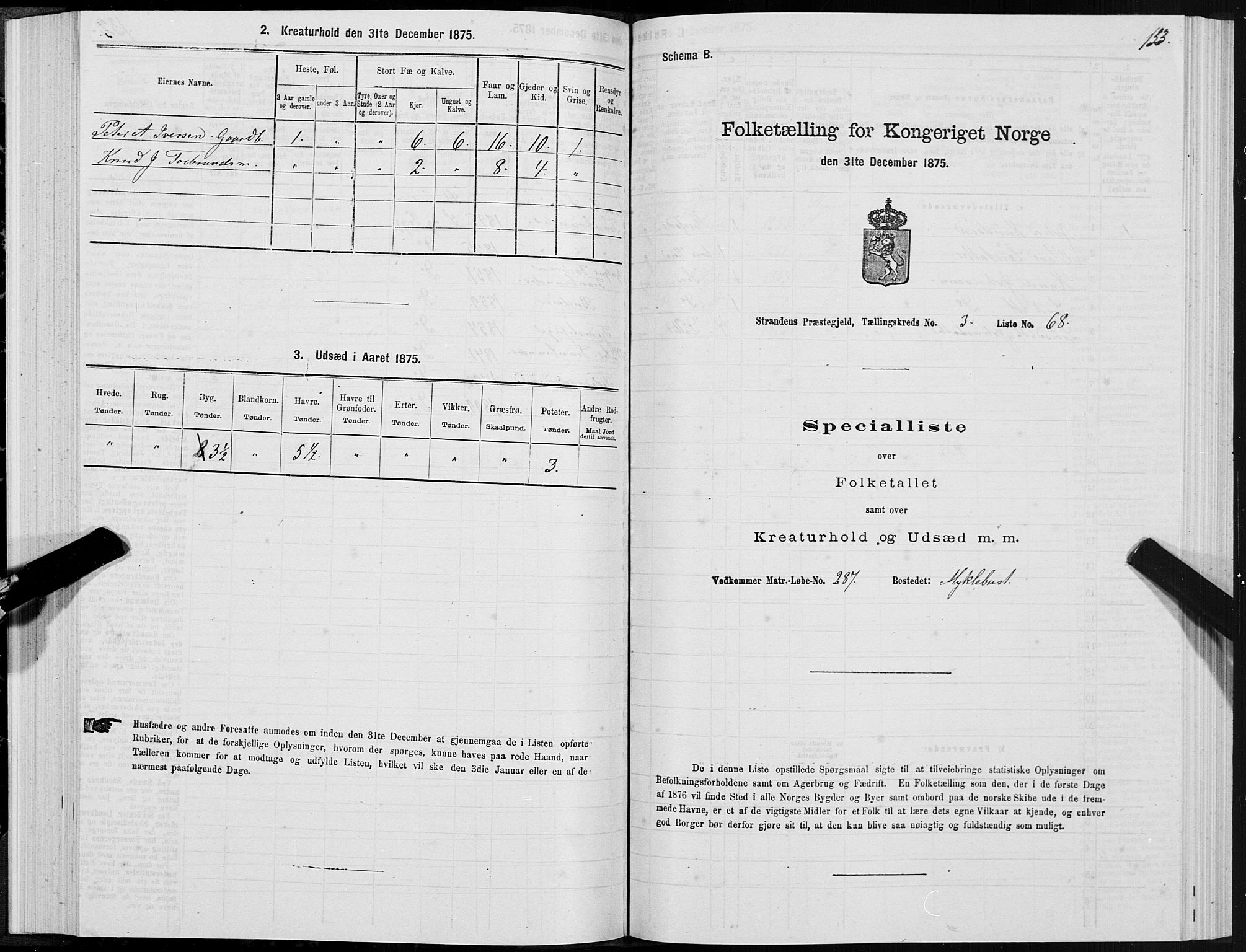 SAT, 1875 census for 1525P Stranda, 1875, p. 2133