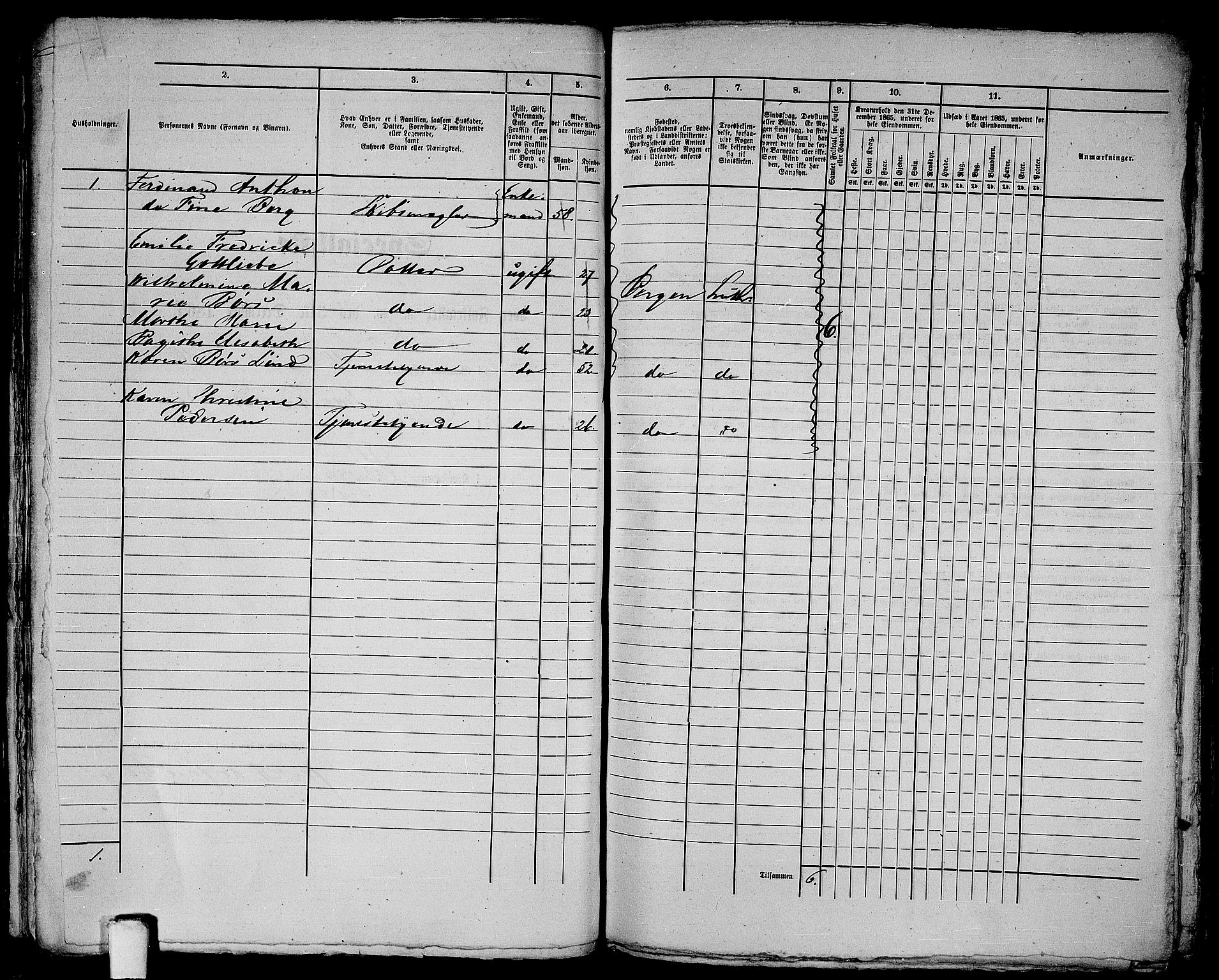 RA, 1865 census for Bergen, 1865, p. 416