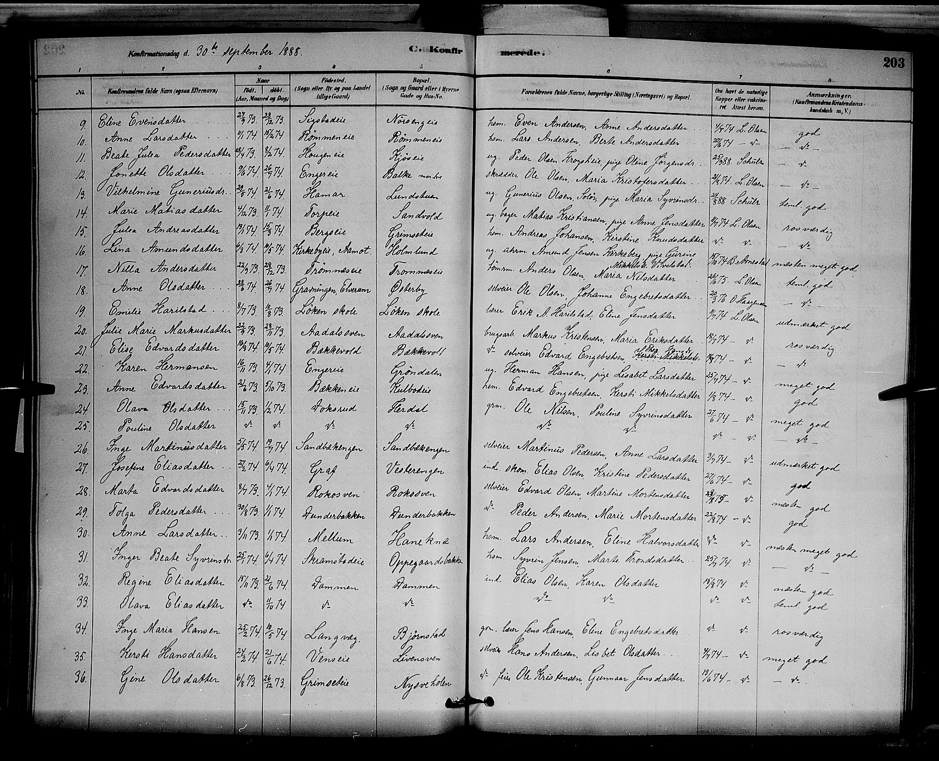 Løten prestekontor, AV/SAH-PREST-022/L/La/L0005: Parish register (copy) no. 5, 1878-1891, p. 203