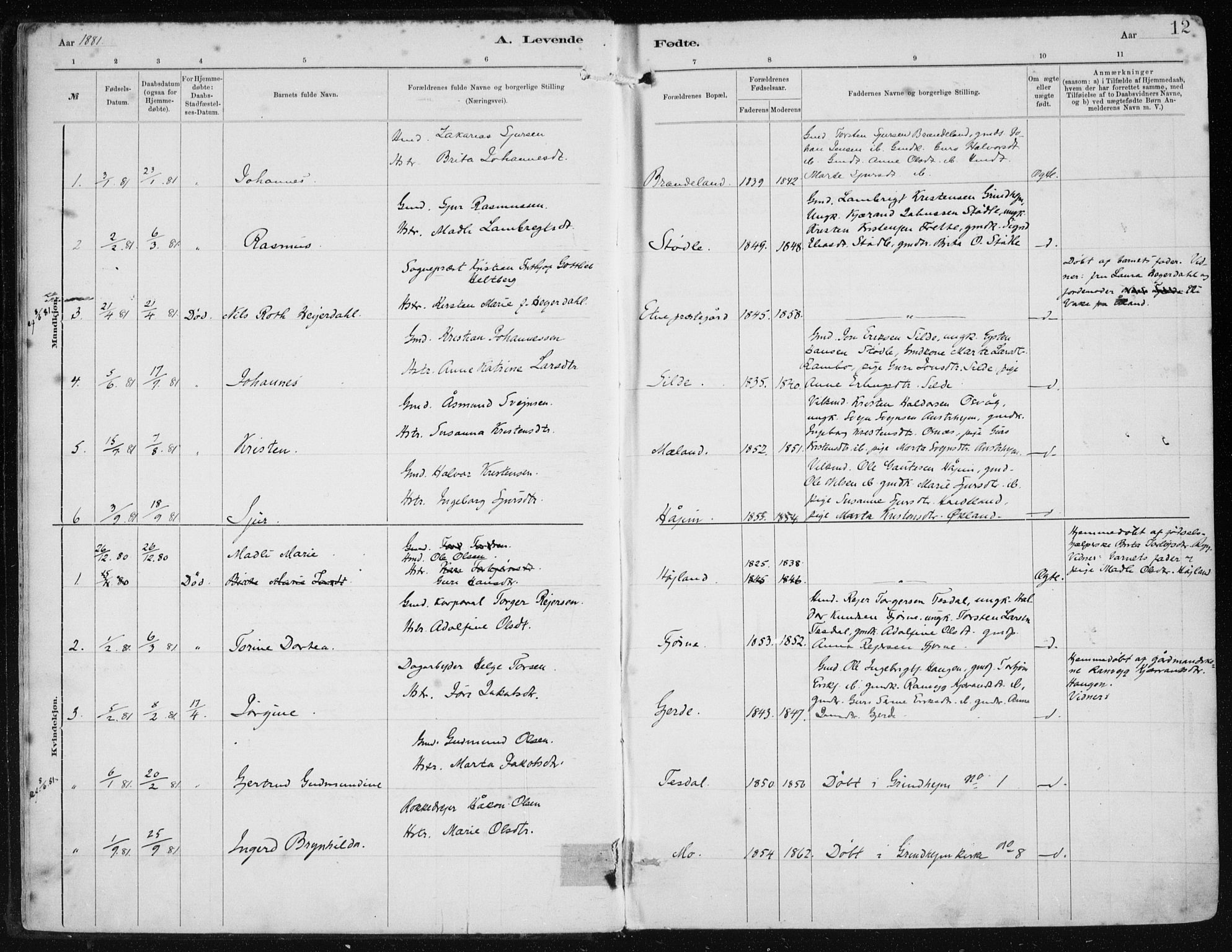 Etne sokneprestembete, SAB/A-75001/H/Haa: Parish register (official) no. B  1, 1879-1919, p. 12