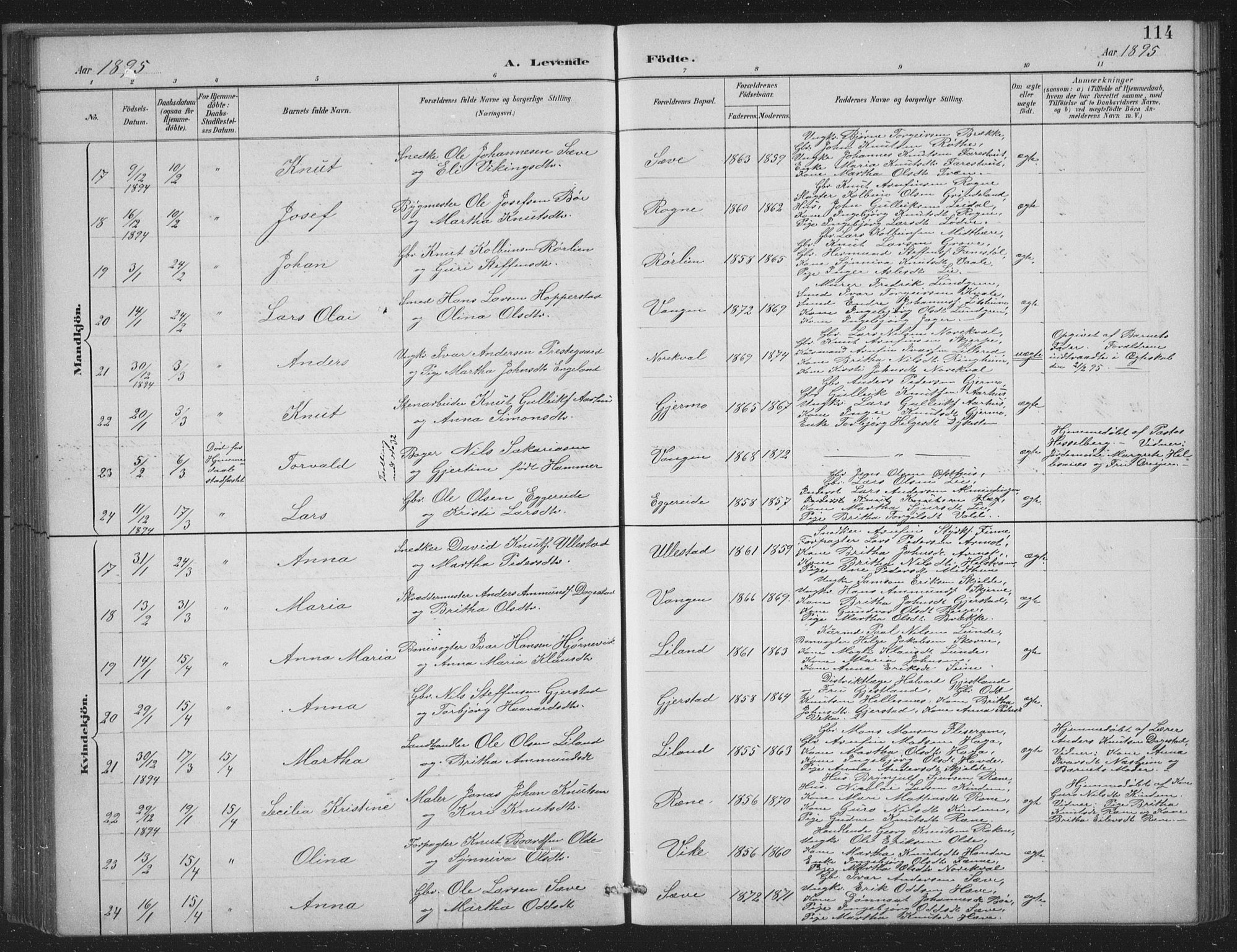Voss sokneprestembete, AV/SAB-A-79001/H/Hab: Parish register (copy) no. C 1, 1886-1899, p. 114