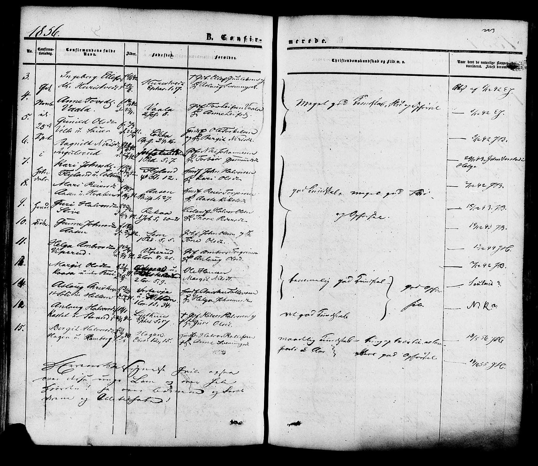 Heddal kirkebøker, SAKO/A-268/F/Fa/L0007: Parish register (official) no. I 7, 1855-1877, p. 223