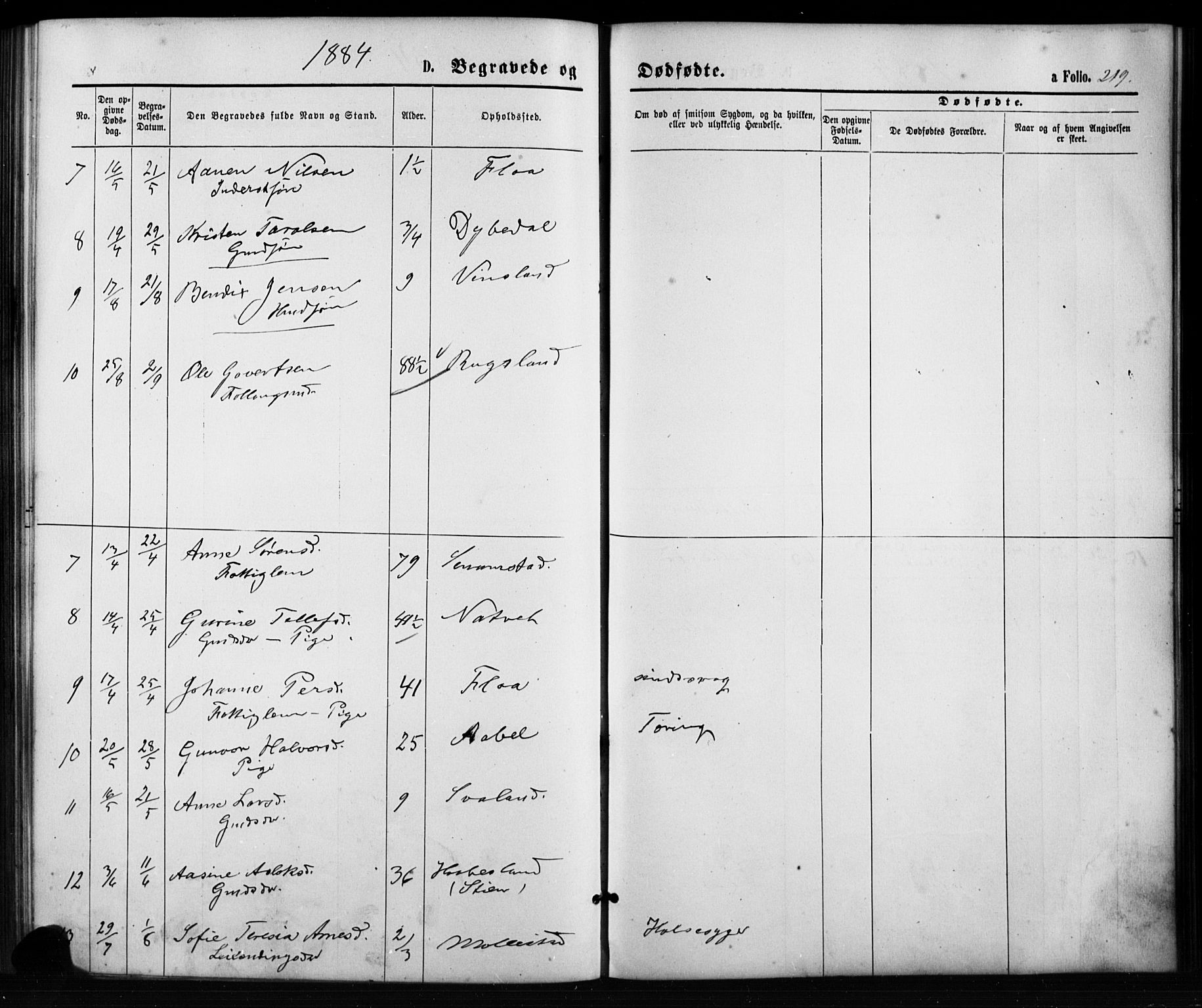 Birkenes sokneprestkontor, SAK/1111-0004/F/Fb/L0003: Parish register (copy) no. B 3, 1876-1892, p. 219