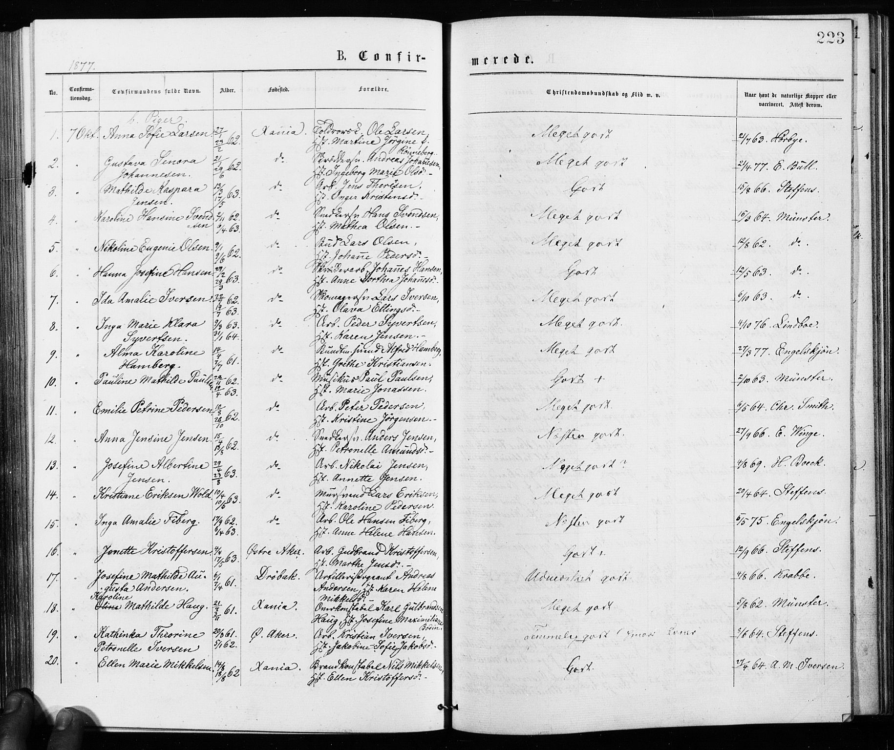 Jakob prestekontor Kirkebøker, SAO/A-10850/F/Fa/L0001: Parish register (official) no. 1, 1875-1924, p. 223