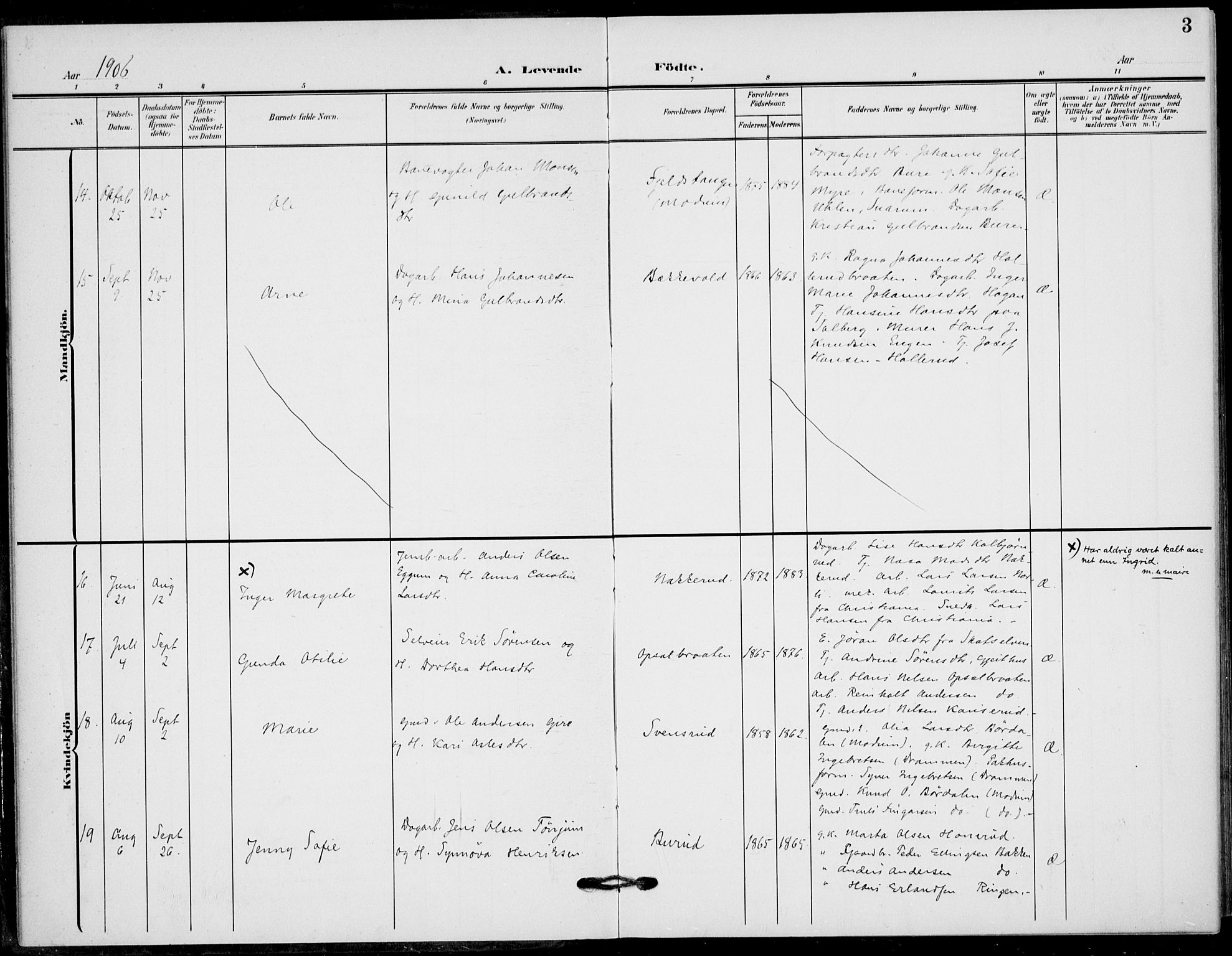 Hole kirkebøker, AV/SAKO-A-228/F/Fb/L0003: Parish register (official) no. II 3, 1906-1916, p. 3