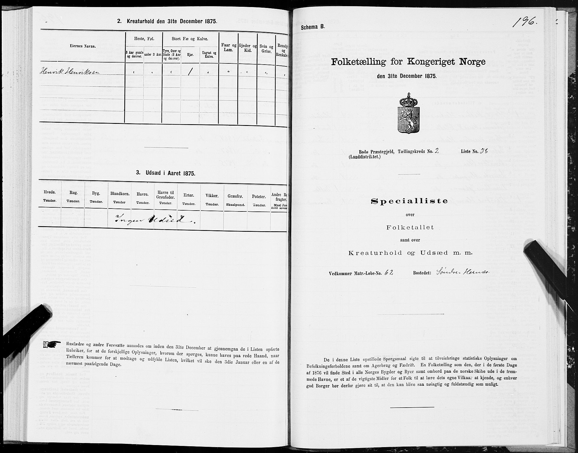SAT, 1875 census for 1843L Bodø/Bodø, 1875, p. 1196