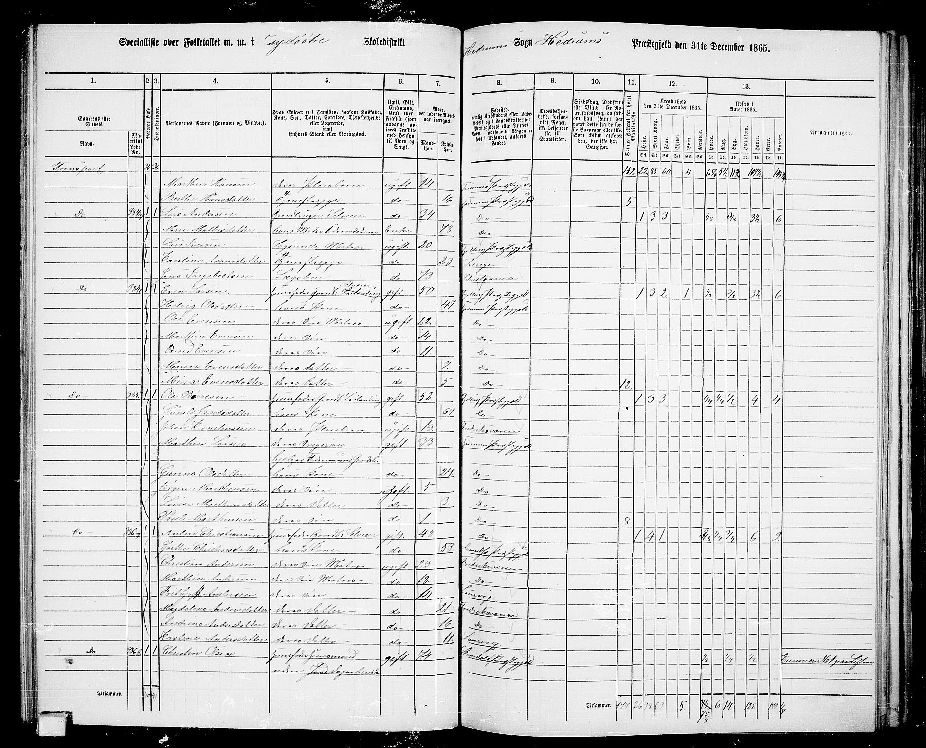 RA, 1865 census for Hedrum, 1865, p. 56