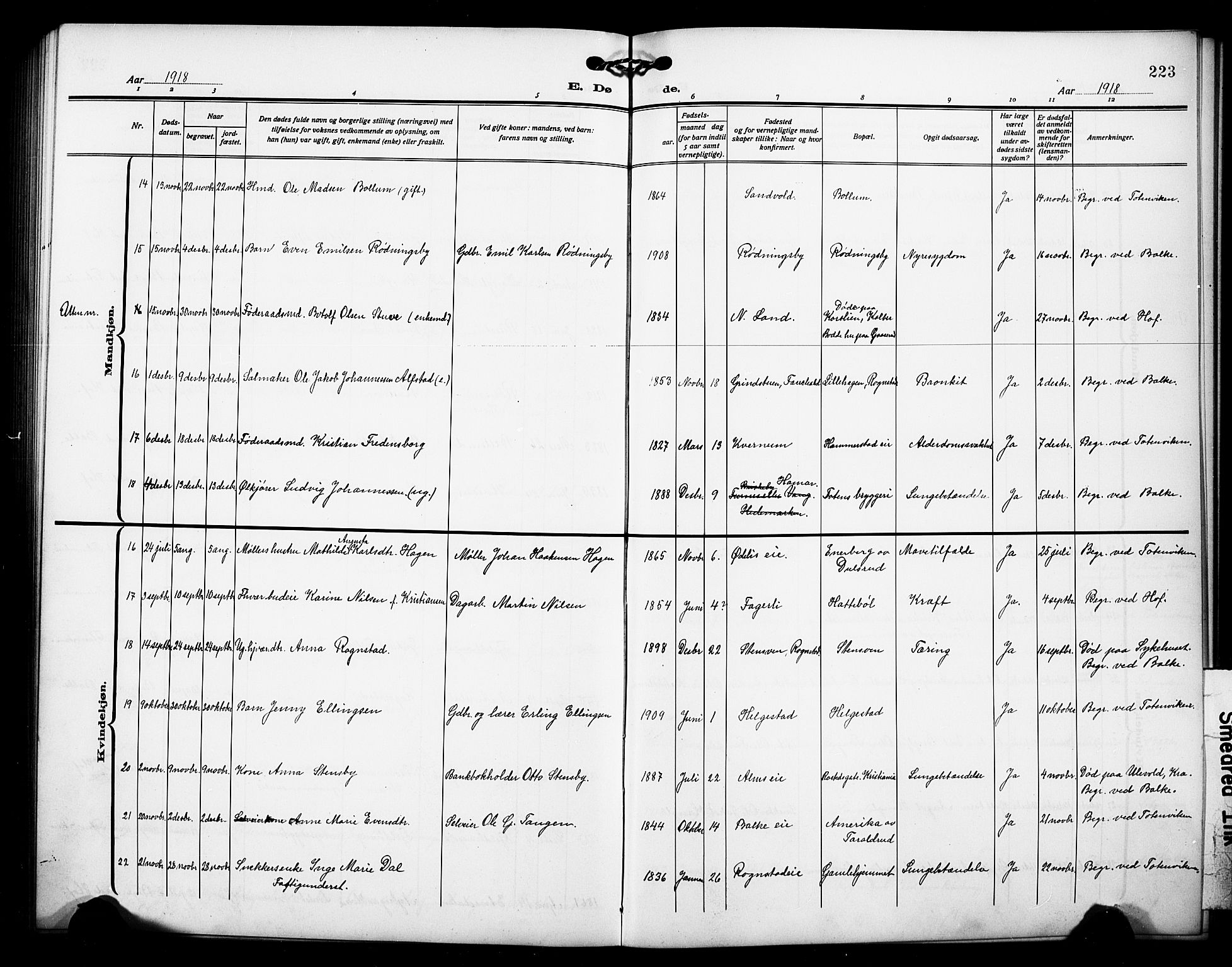 Østre Toten prestekontor, AV/SAH-PREST-104/H/Ha/Hab/L0008: Parish register (copy) no. 8, 1913-1929, p. 223