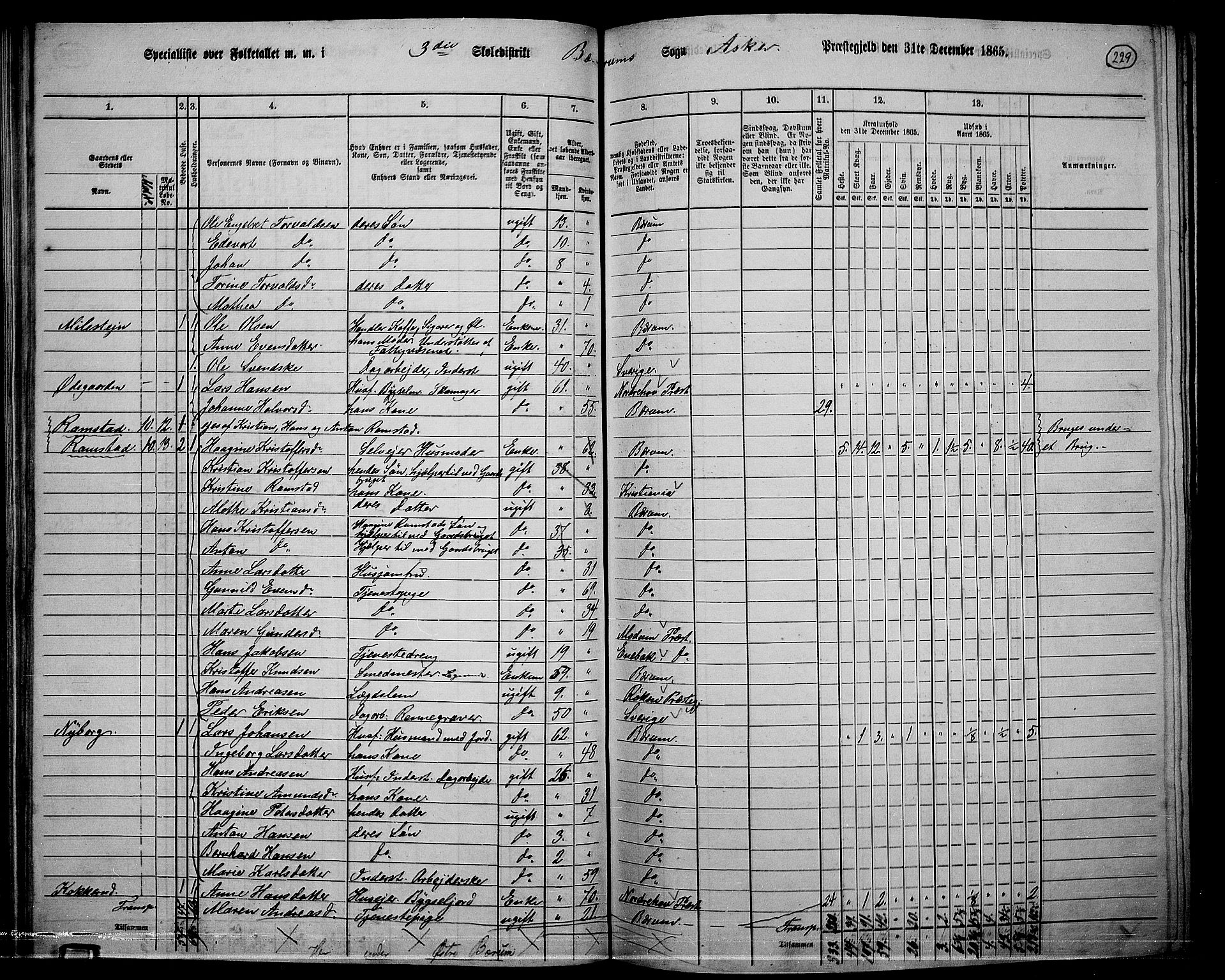 RA, 1865 census for Asker, 1865, p. 221