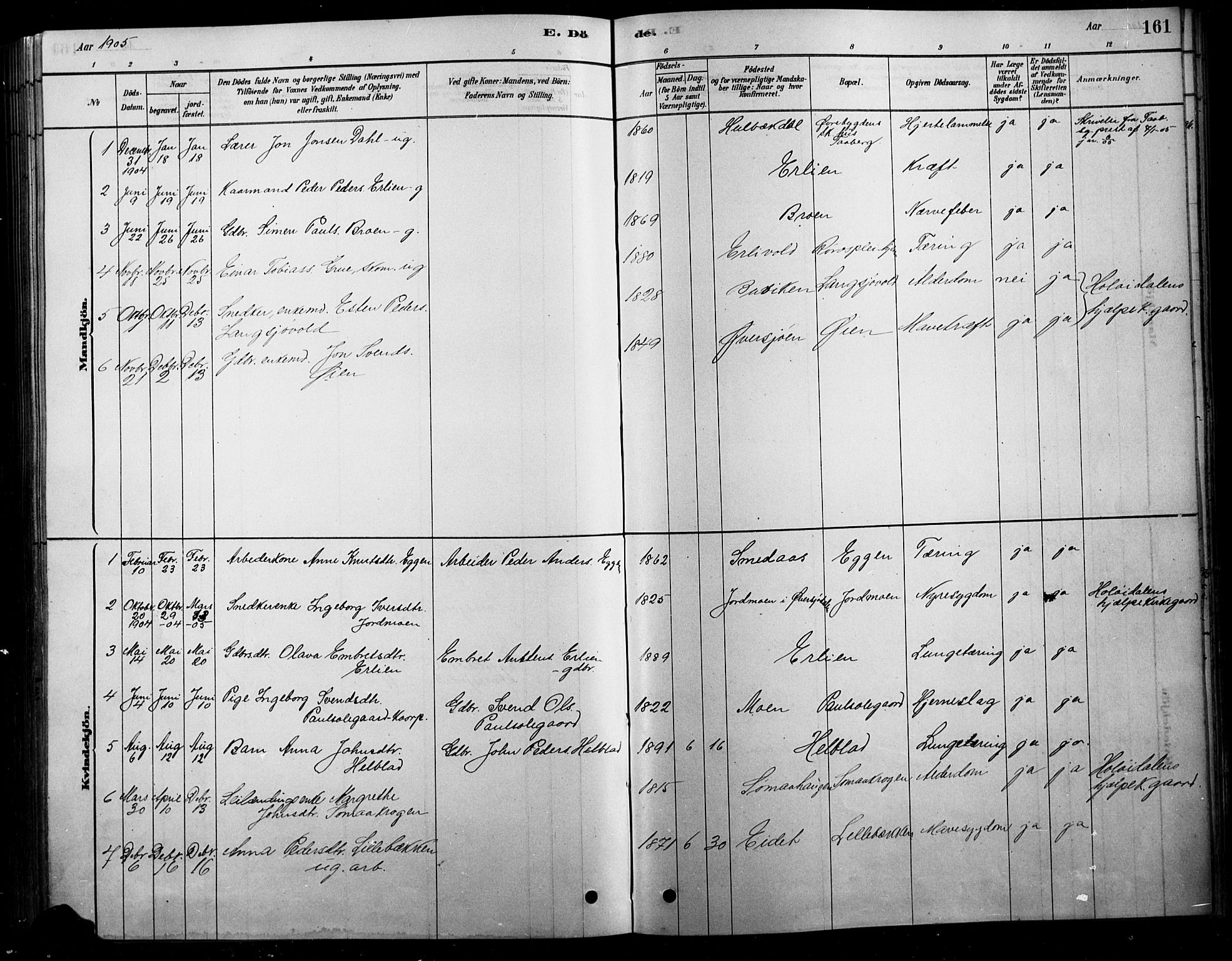 Tolga prestekontor, SAH/PREST-062/L/L0007: Parish register (copy) no. 7, 1878-1919, p. 161