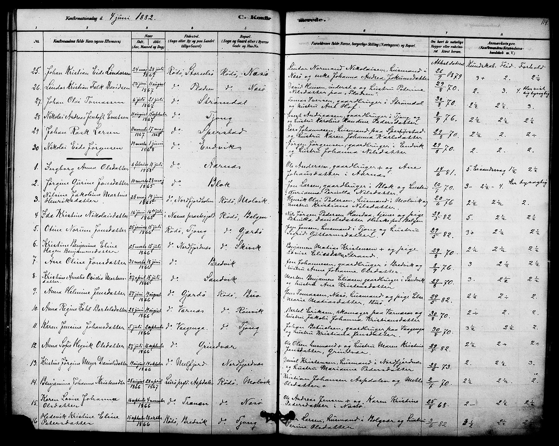 Ministerialprotokoller, klokkerbøker og fødselsregistre - Nordland, AV/SAT-A-1459/841/L0609: Parish register (official) no. 841A12, 1878-1901, p. 114