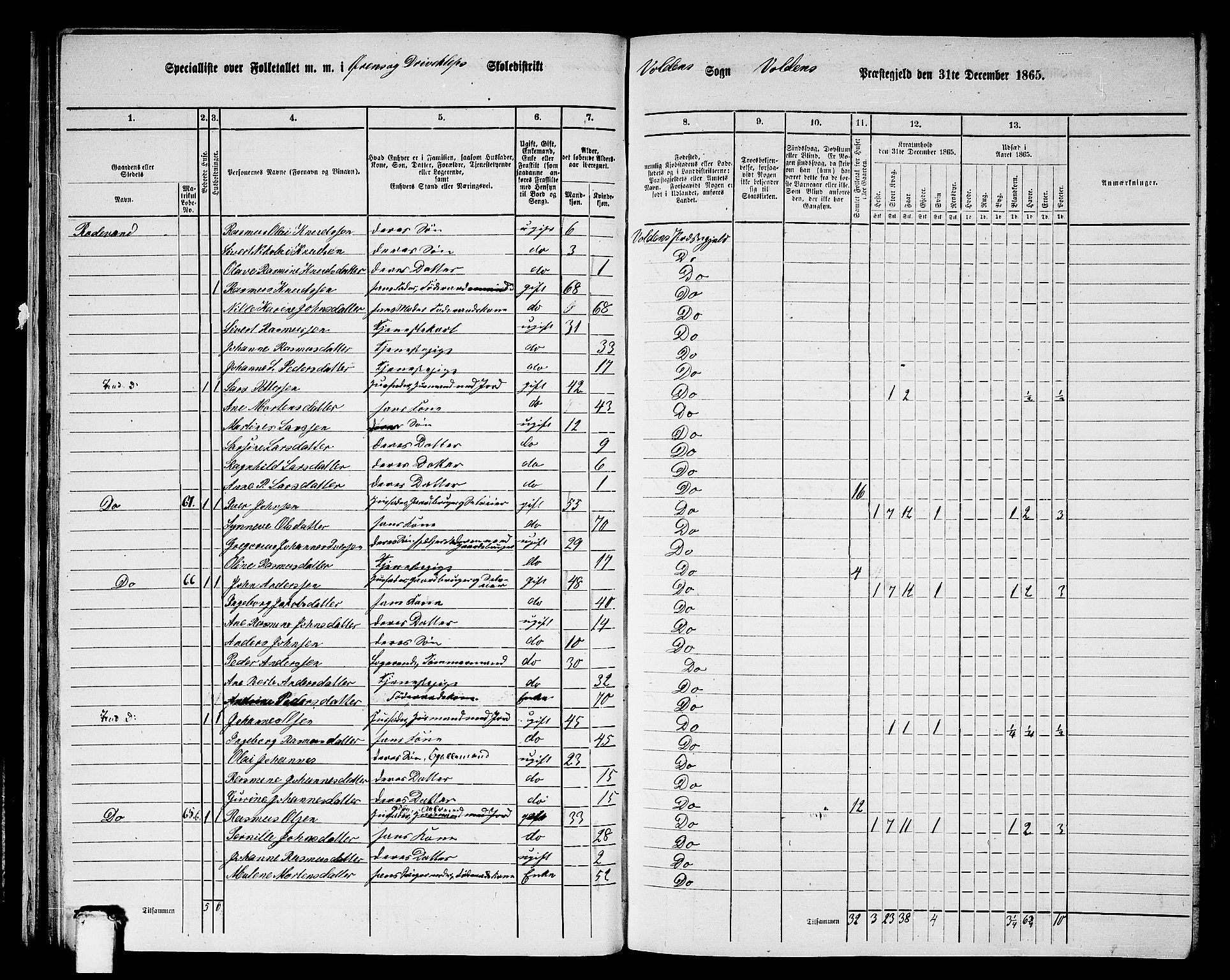 RA, 1865 census for Volda, 1865, p. 41