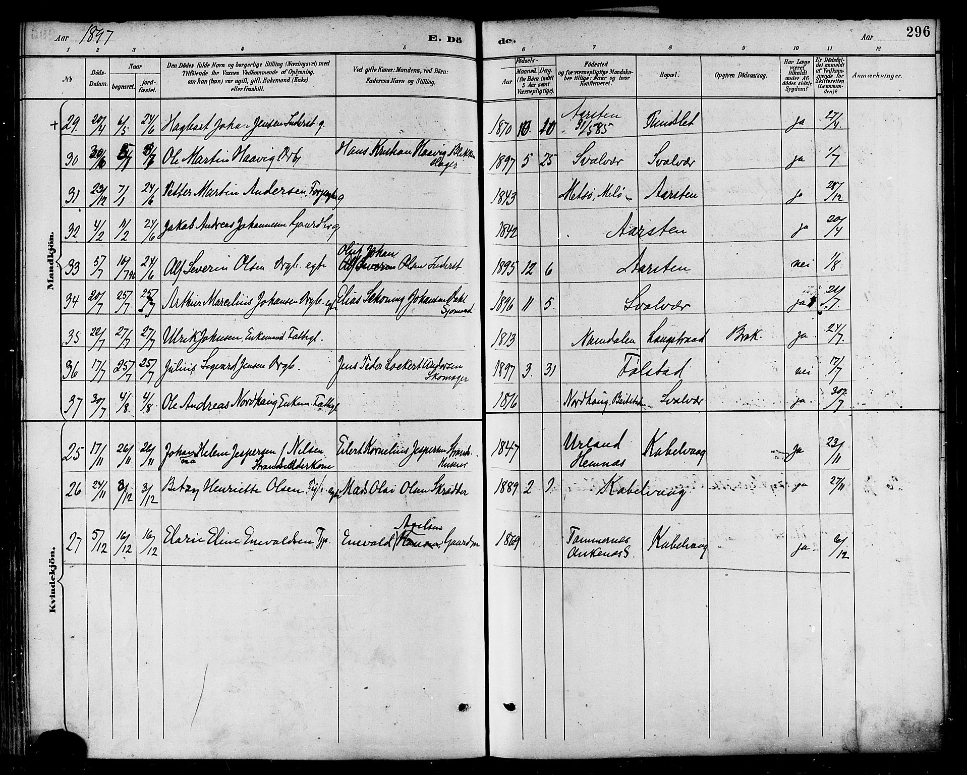 Ministerialprotokoller, klokkerbøker og fødselsregistre - Nordland, AV/SAT-A-1459/874/L1060: Parish register (official) no. 874A04, 1890-1899, p. 296