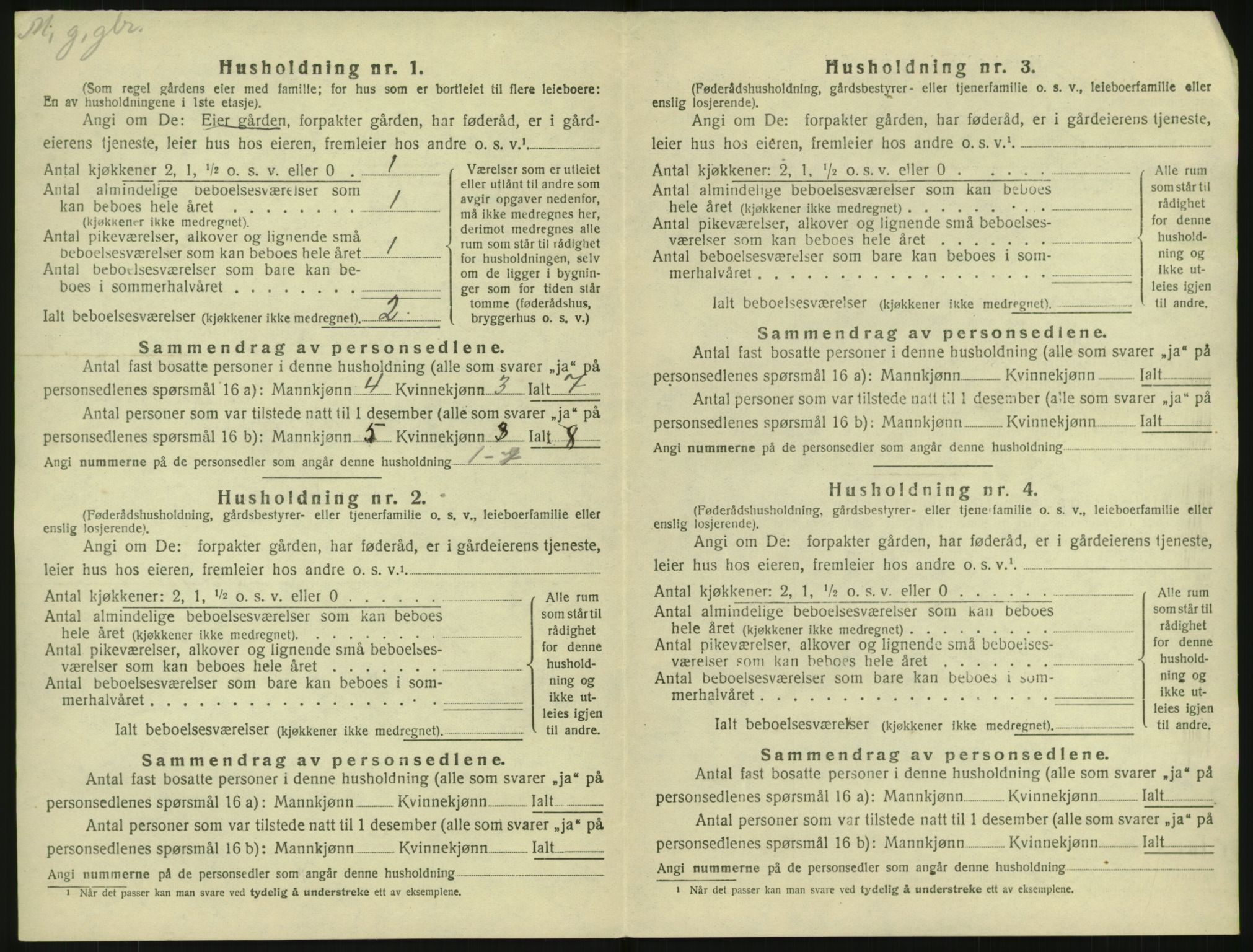 SAKO, 1920 census for Rauland, 1920, p. 463